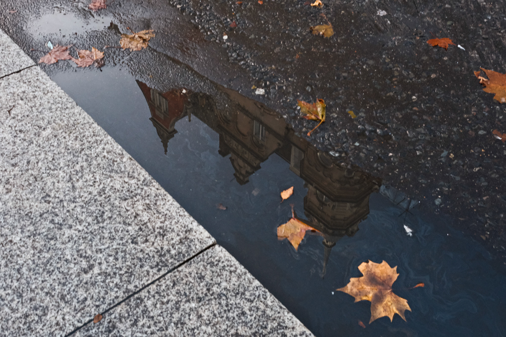 2nd favourite puddle