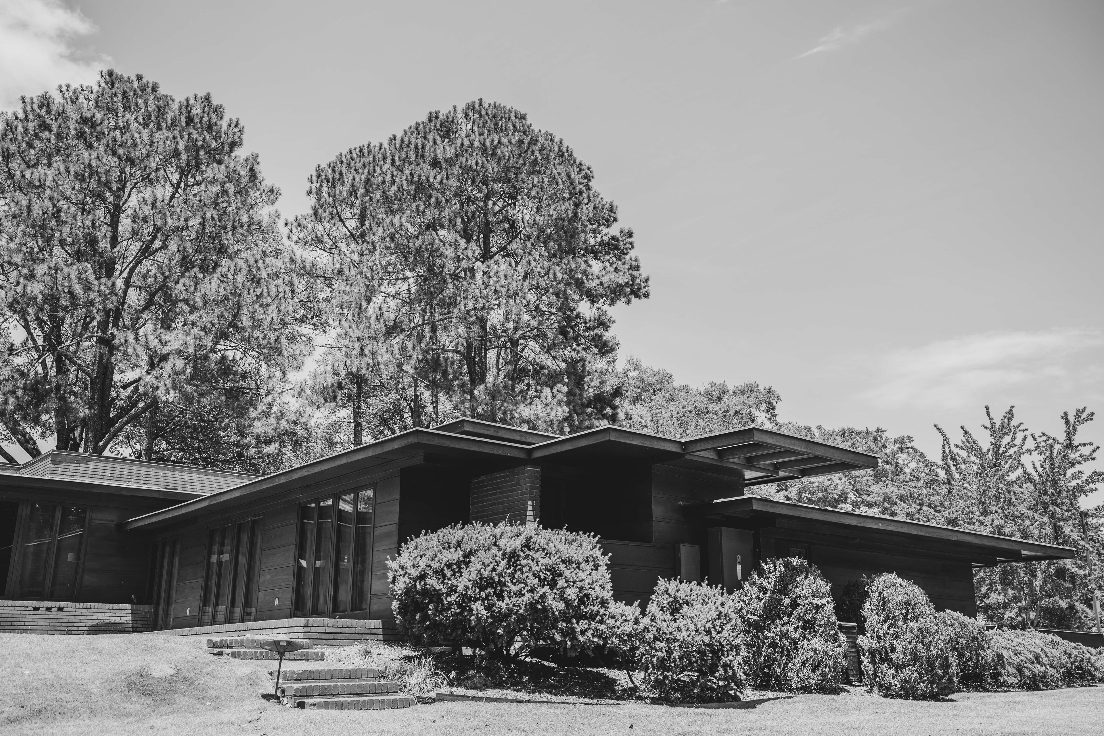 rosenbaum, flw