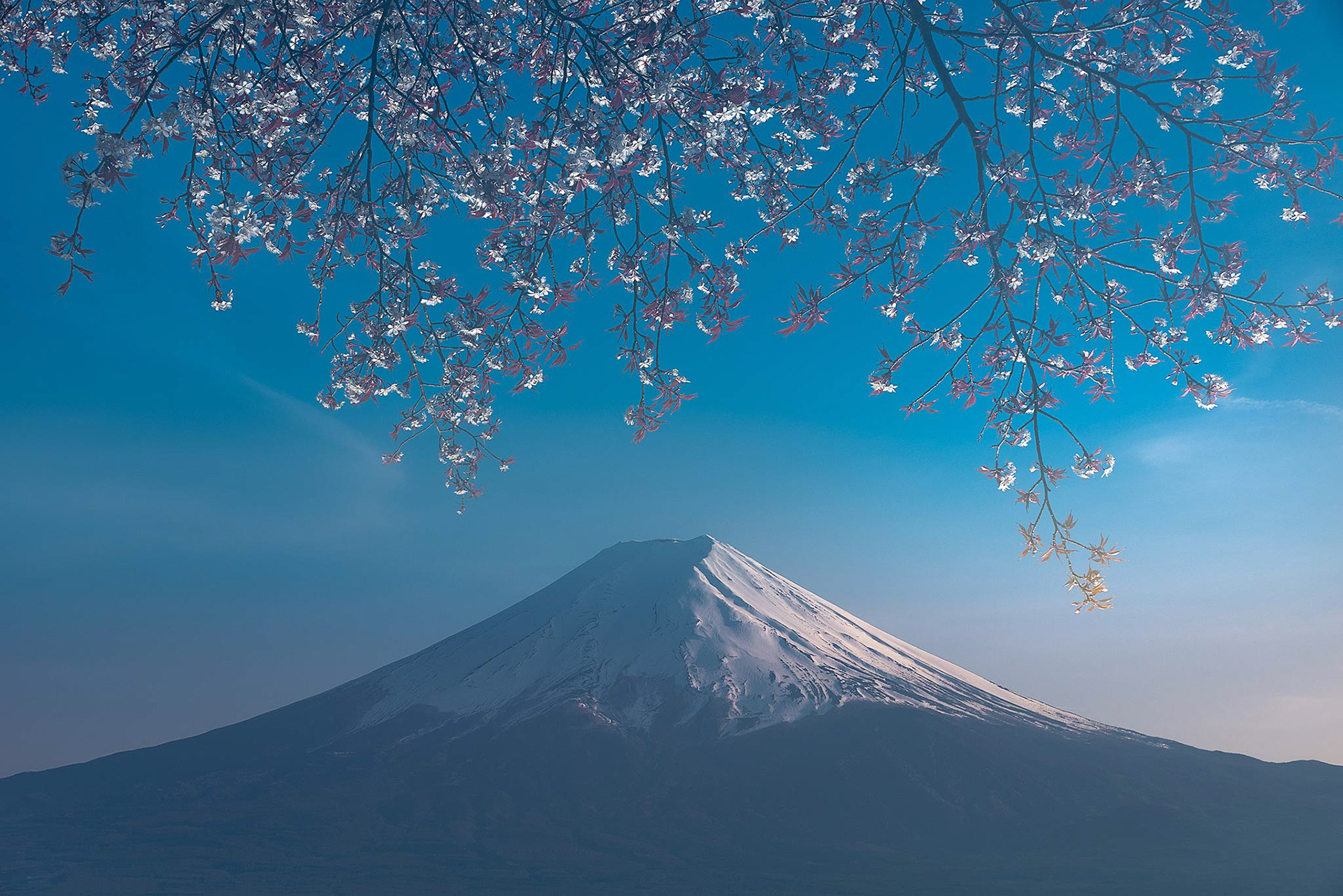 Japan '18