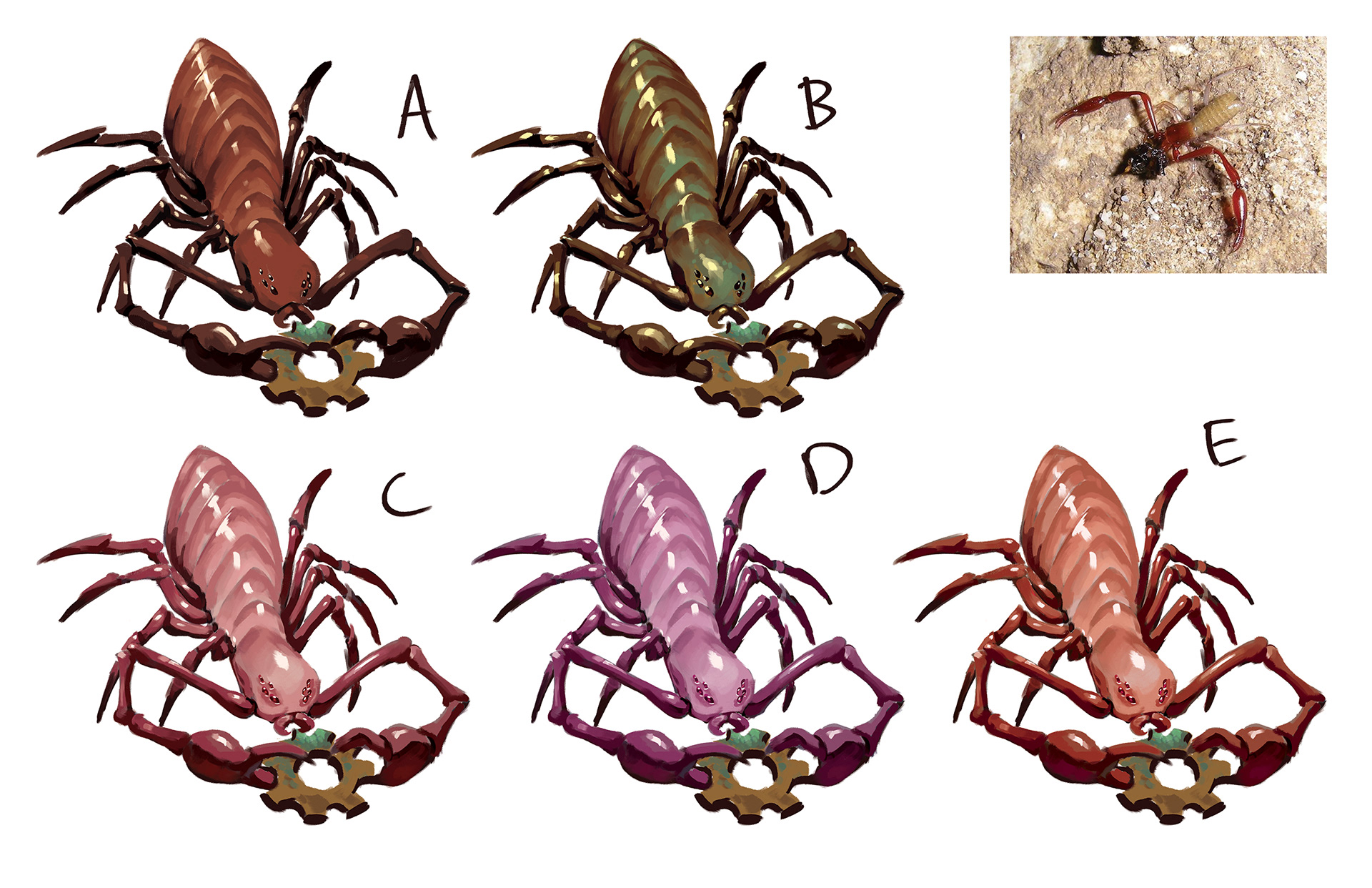 Initial Bug Concepts