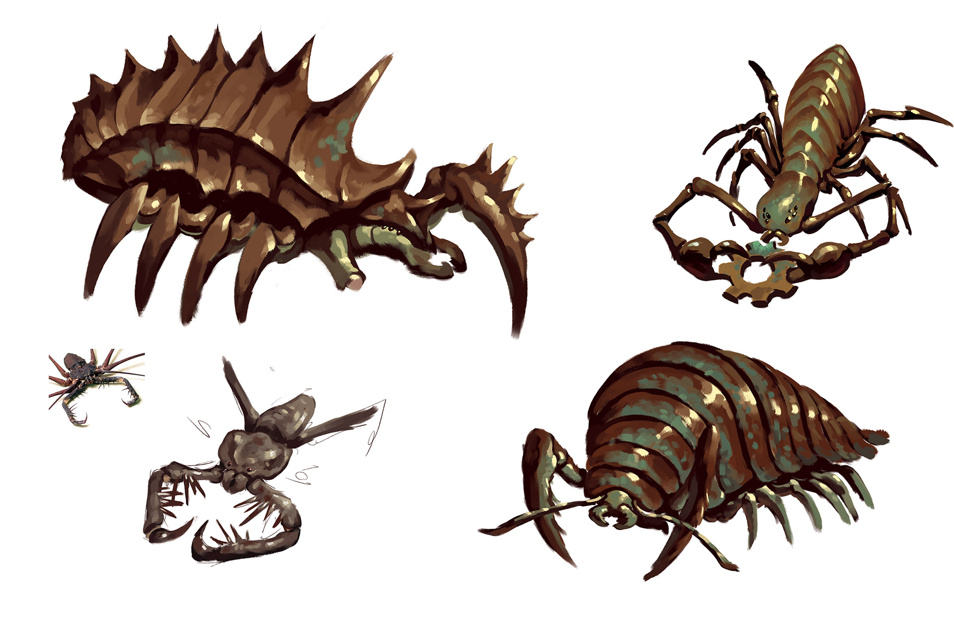 Metal Bug Concepts