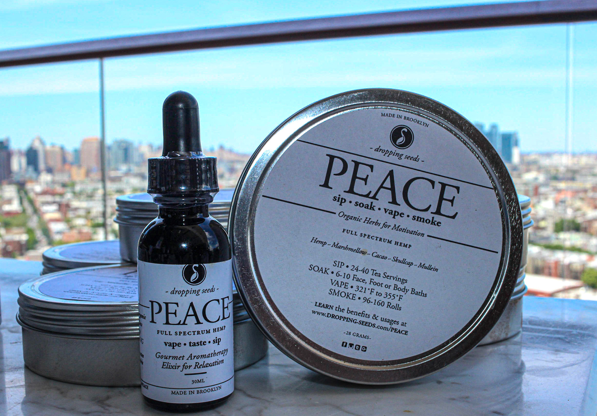 Destigmatizing Race, Sexuality and Consumption at The William Vale