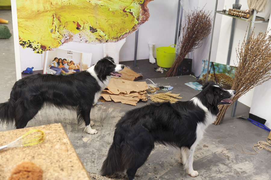 Emmanuelle lainé at c-om-p-o-s-i-t-e , exhibition view with twin dogs, 2014