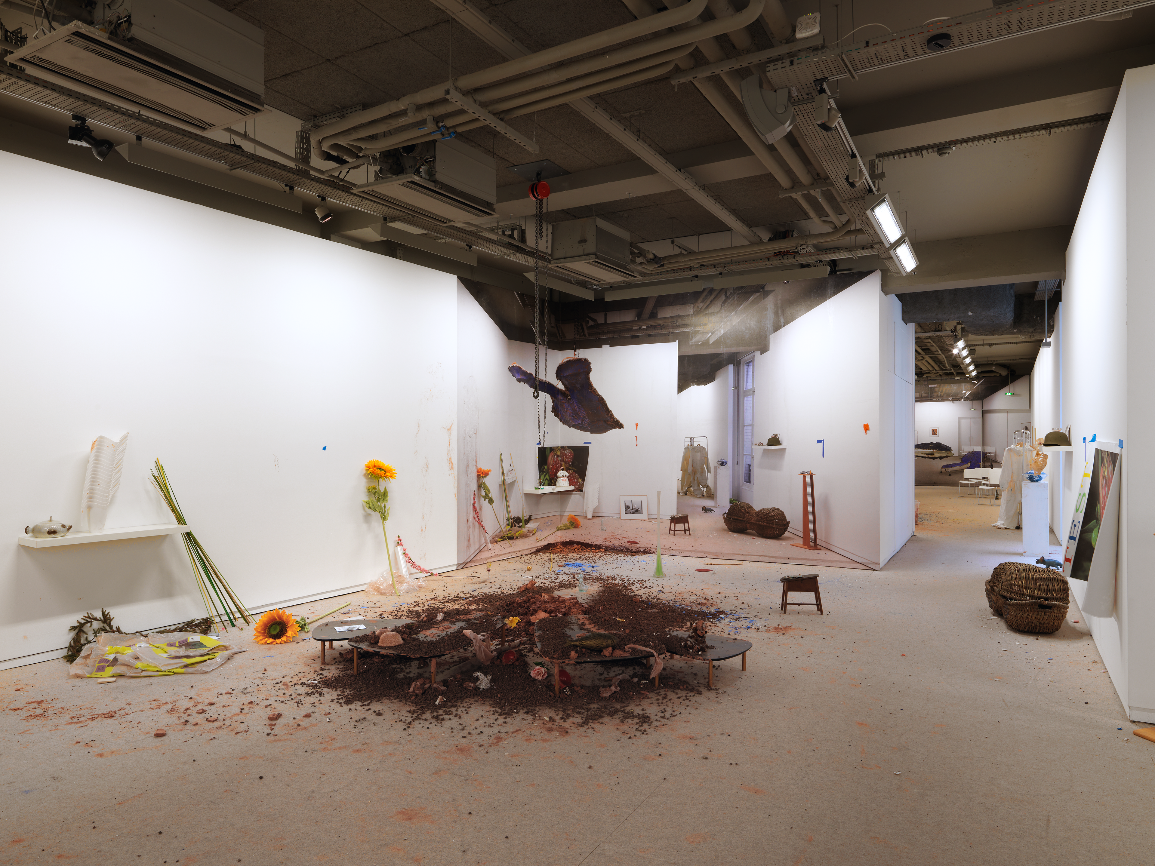 Le plaisir dans la confusion des frontières, Site specific photos and objects installation, Exhibition view, Fondation Ricard, Paris, 2014