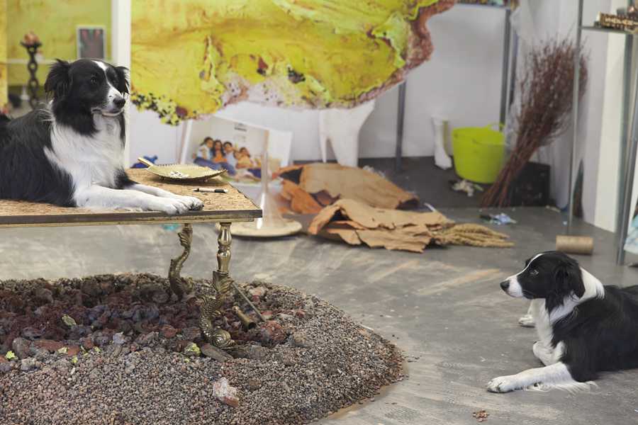 Emmanuelle lainé at c-om-p-o-s-i-t-e , exhibition view with twin dogs, 2014