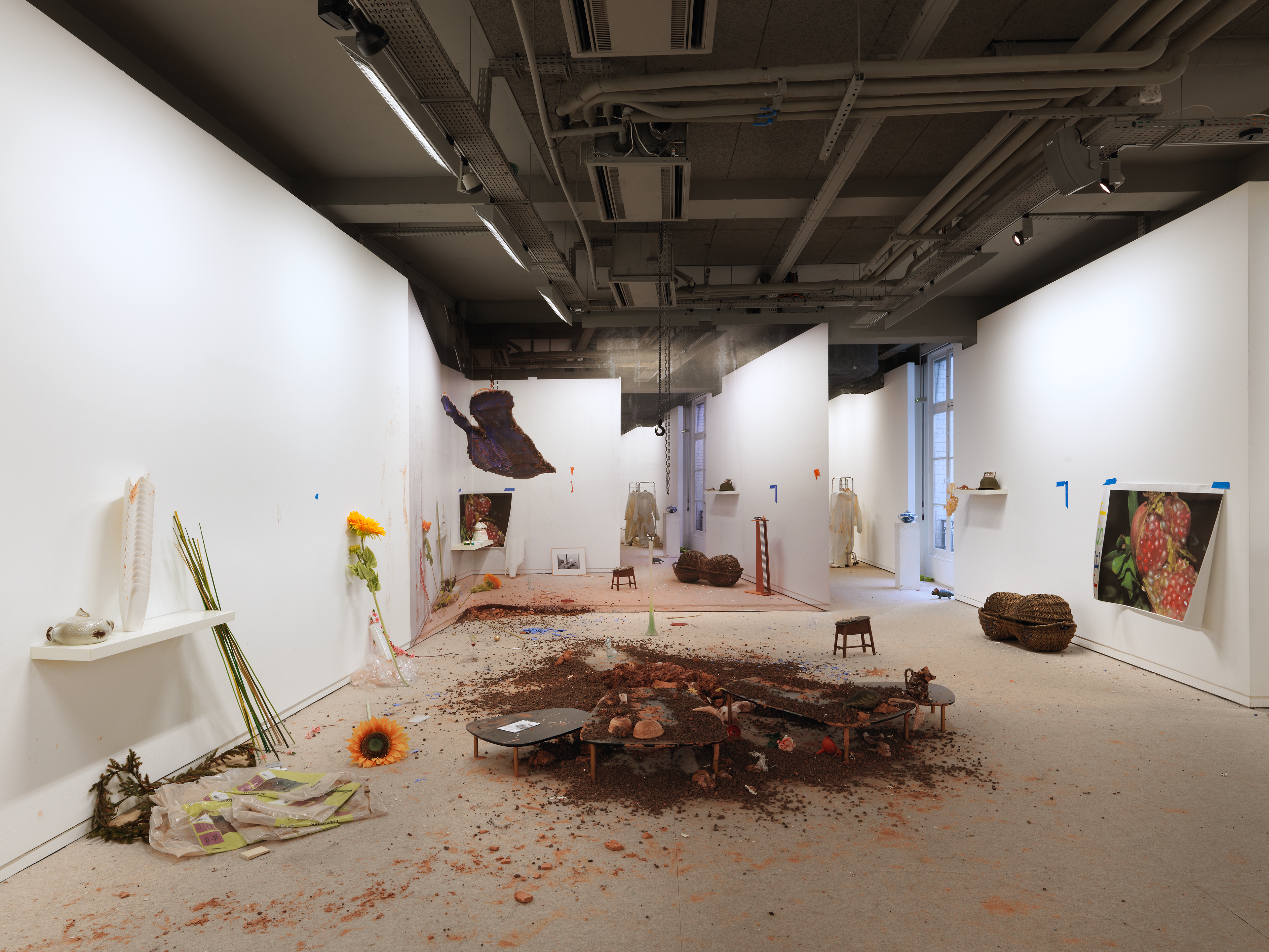 Le plaisir dans la confusion des frontières, Site specific photos and objects installation, Exhibition view, Fondation Ricard, Paris, 2014