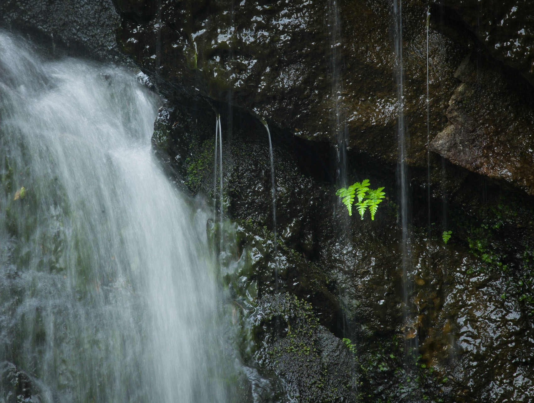 Fossen fra Hauktjern v Sarabråten