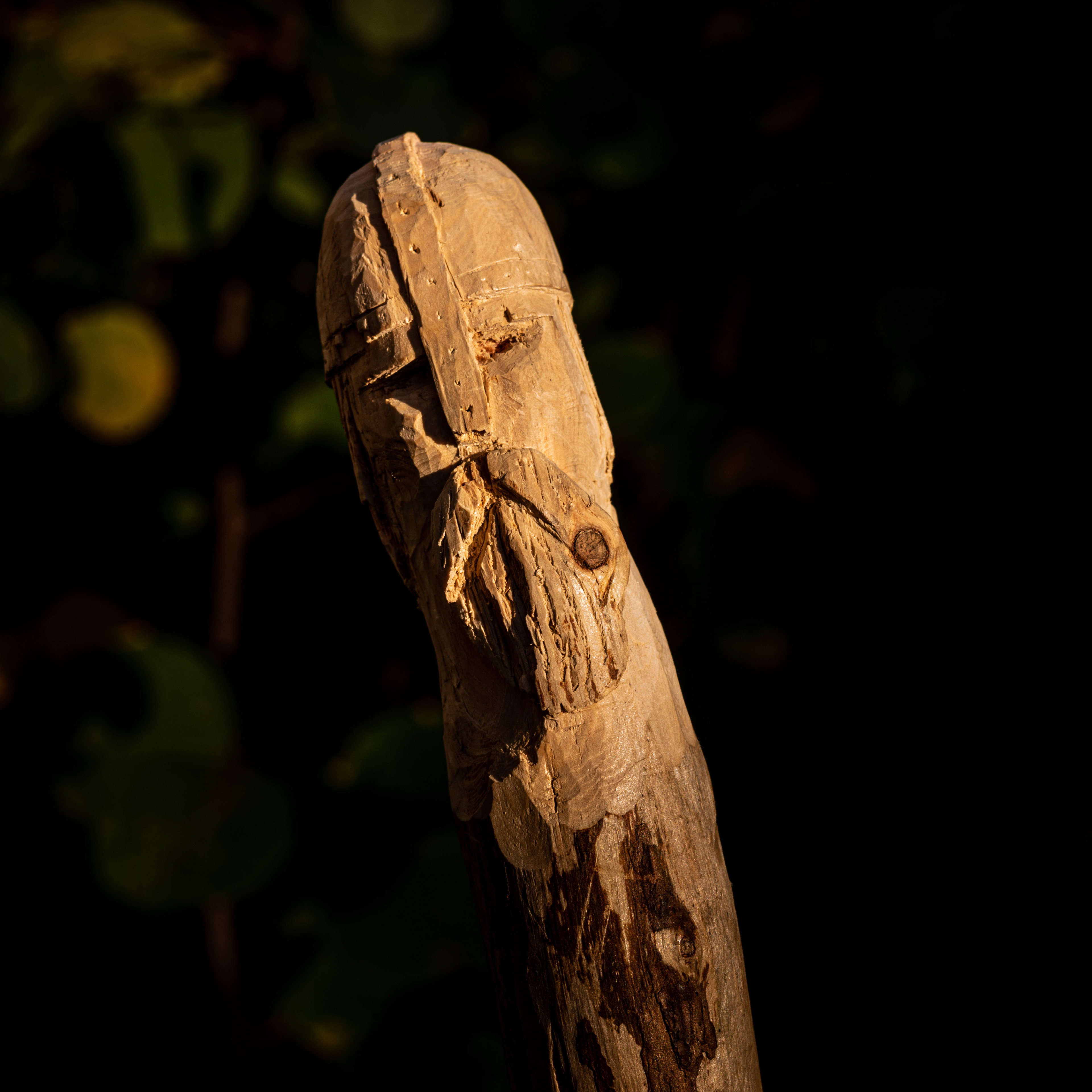 Hallvard blodtann  / Arne skald