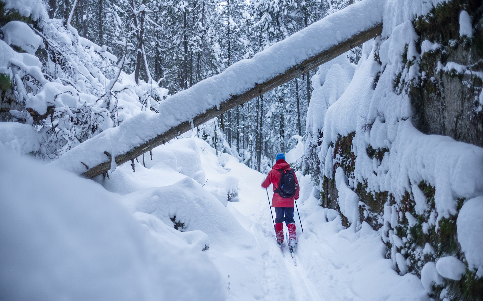 Svartdalen, Østmarka, Oslo
