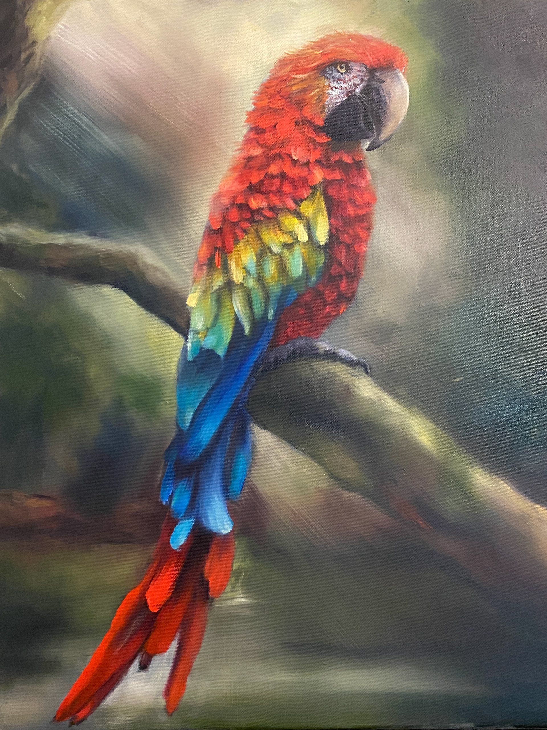 "Amara" Oil on Canvas, 16x20, $300