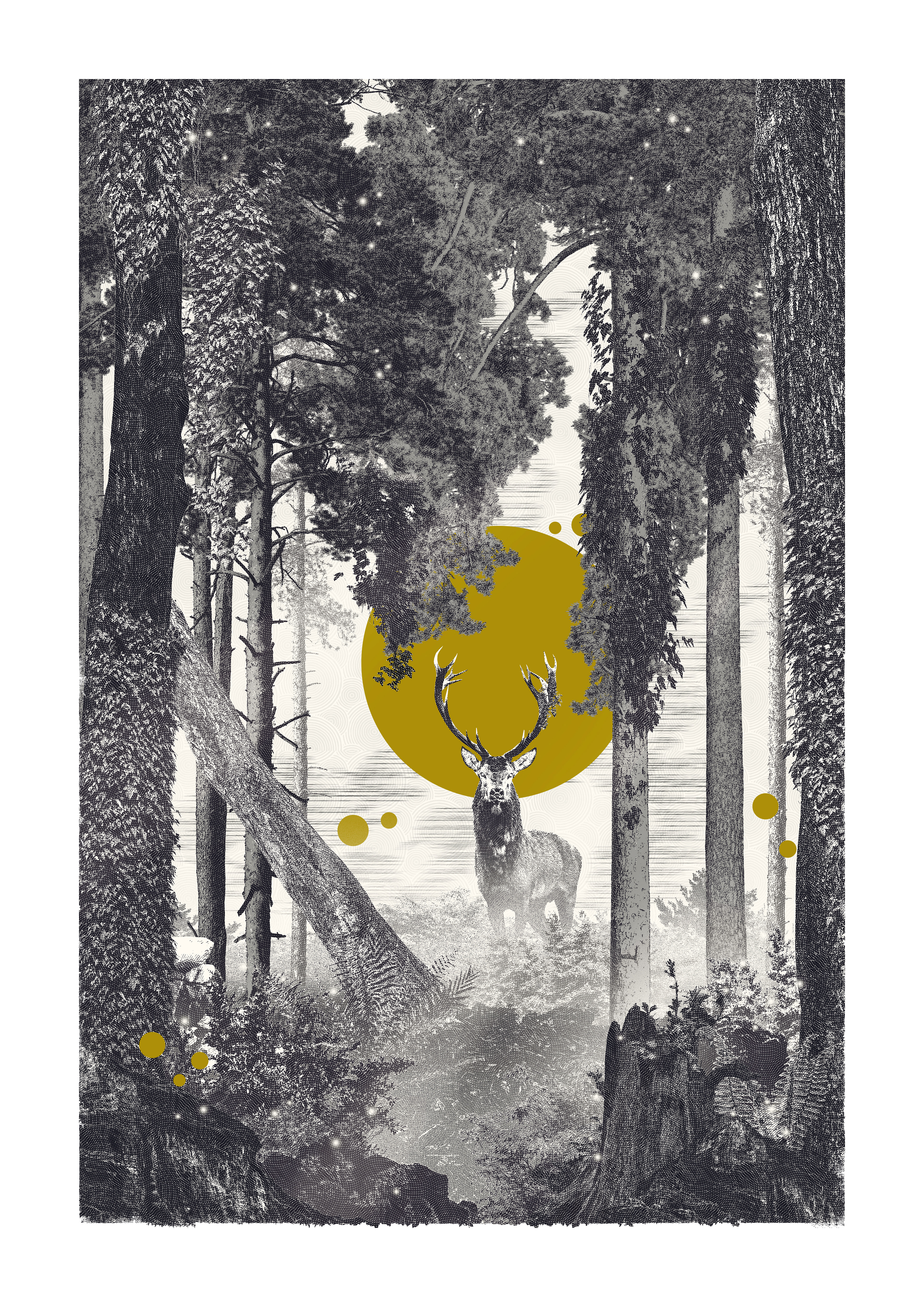 "Hinterland" - 2020