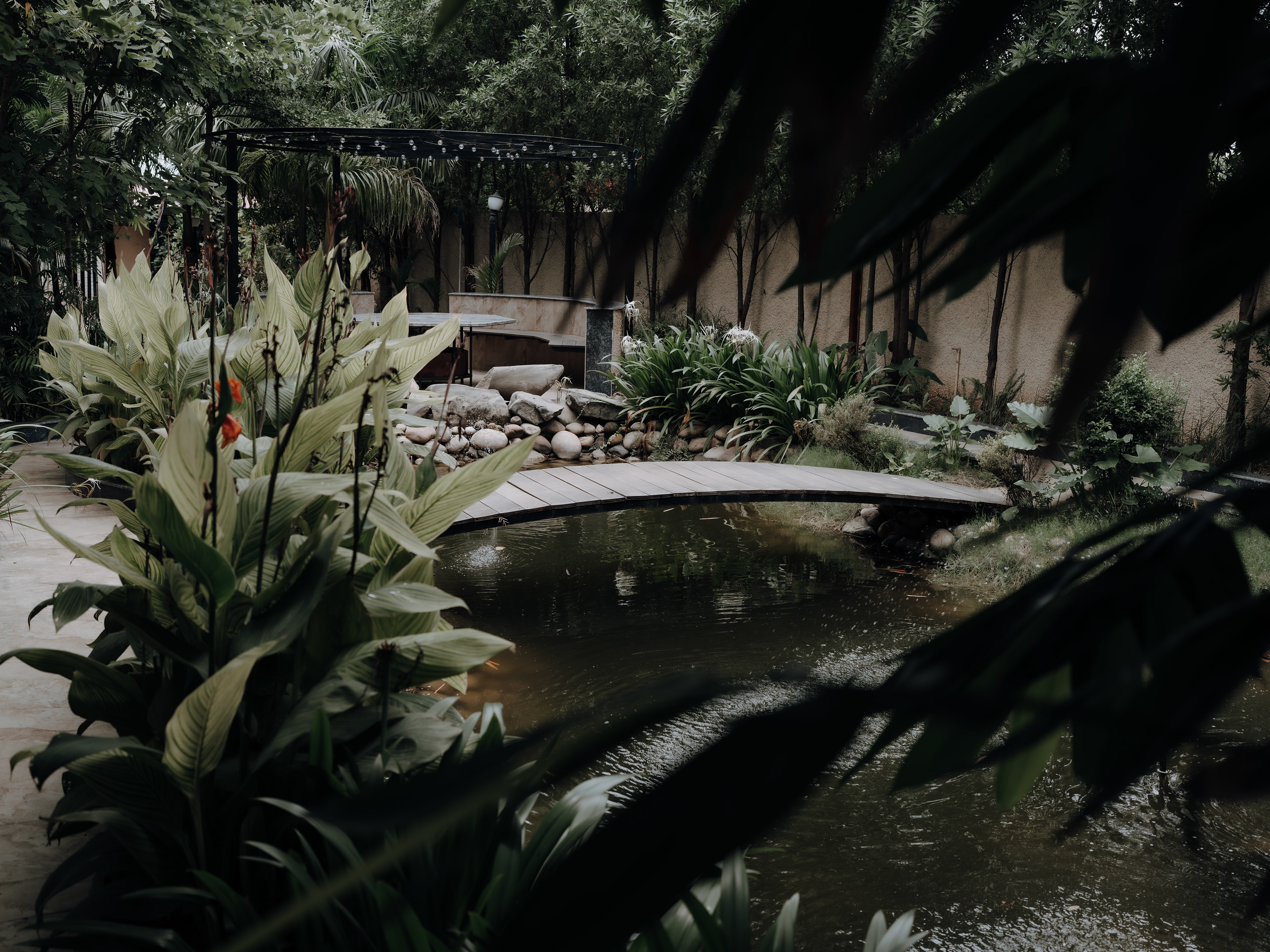 Maternity Shoot In hidden location Aquavista Farm