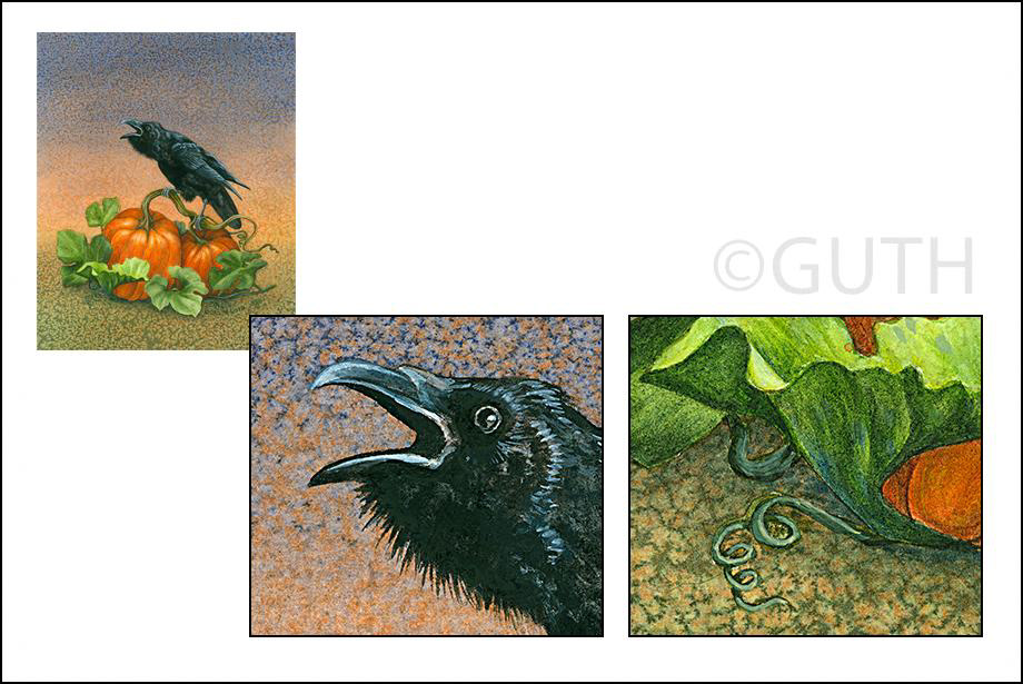 Raven On Pumpkin - Watercolor and Gouaché