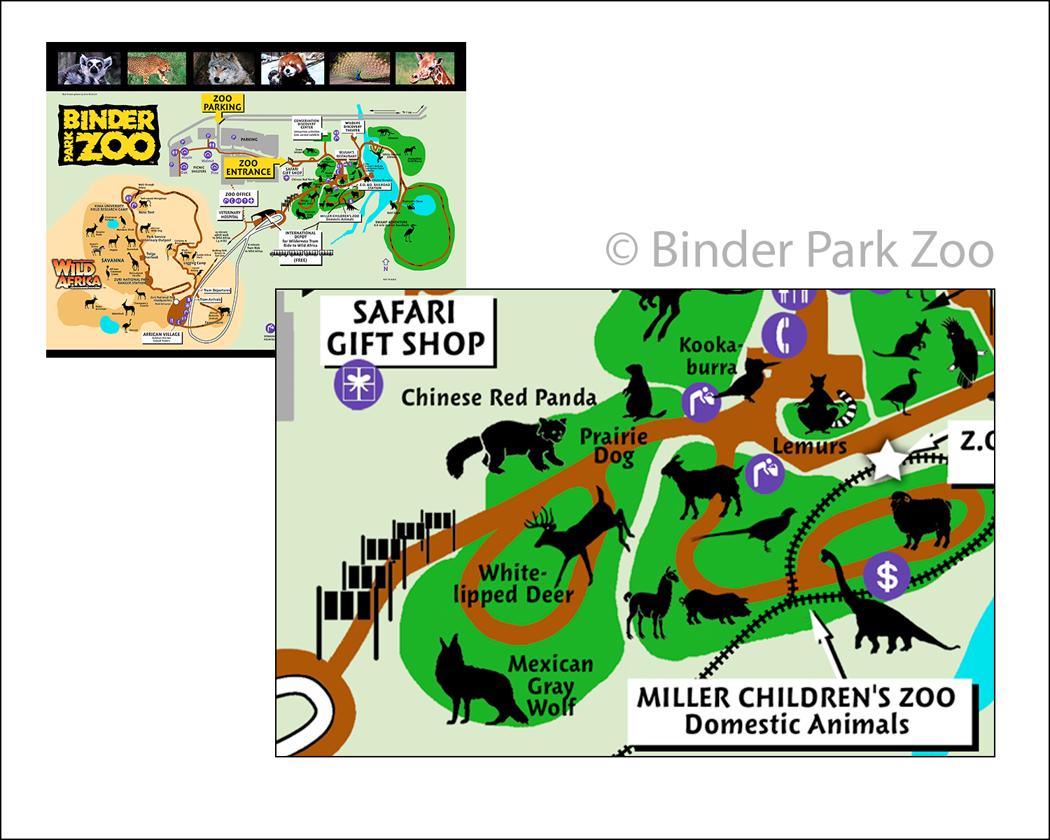 Binder Park Zoo Wayfinding  •  Digital, Ink