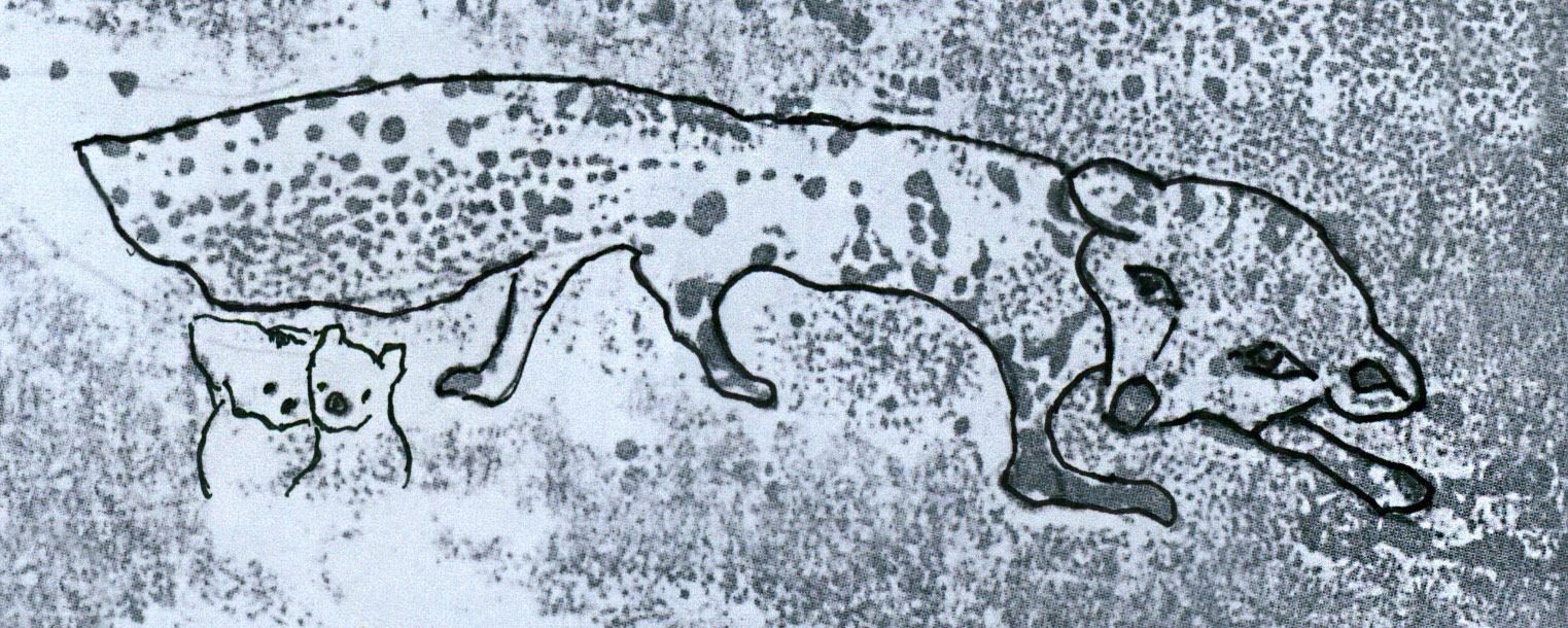 leopard