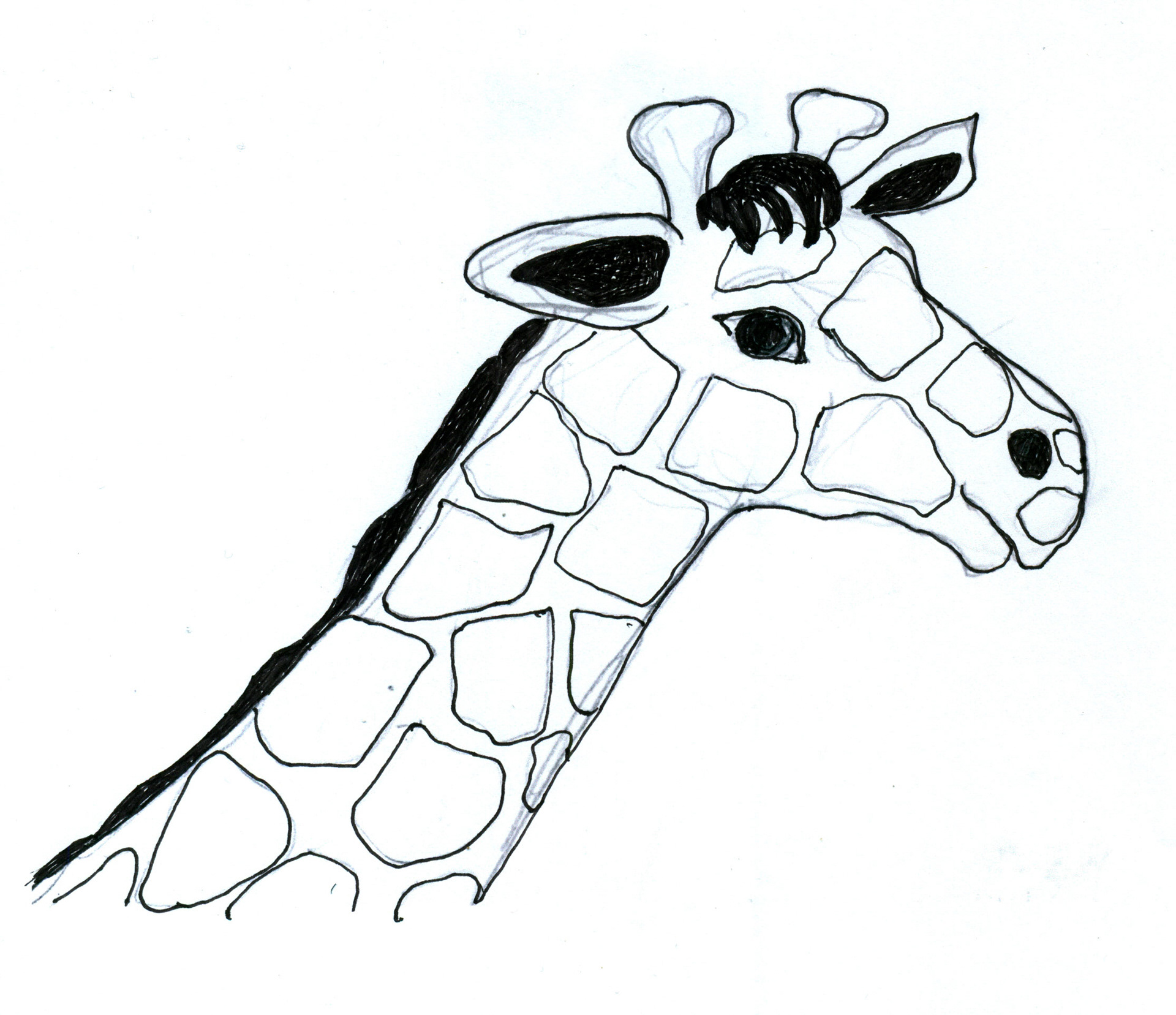 giraffe