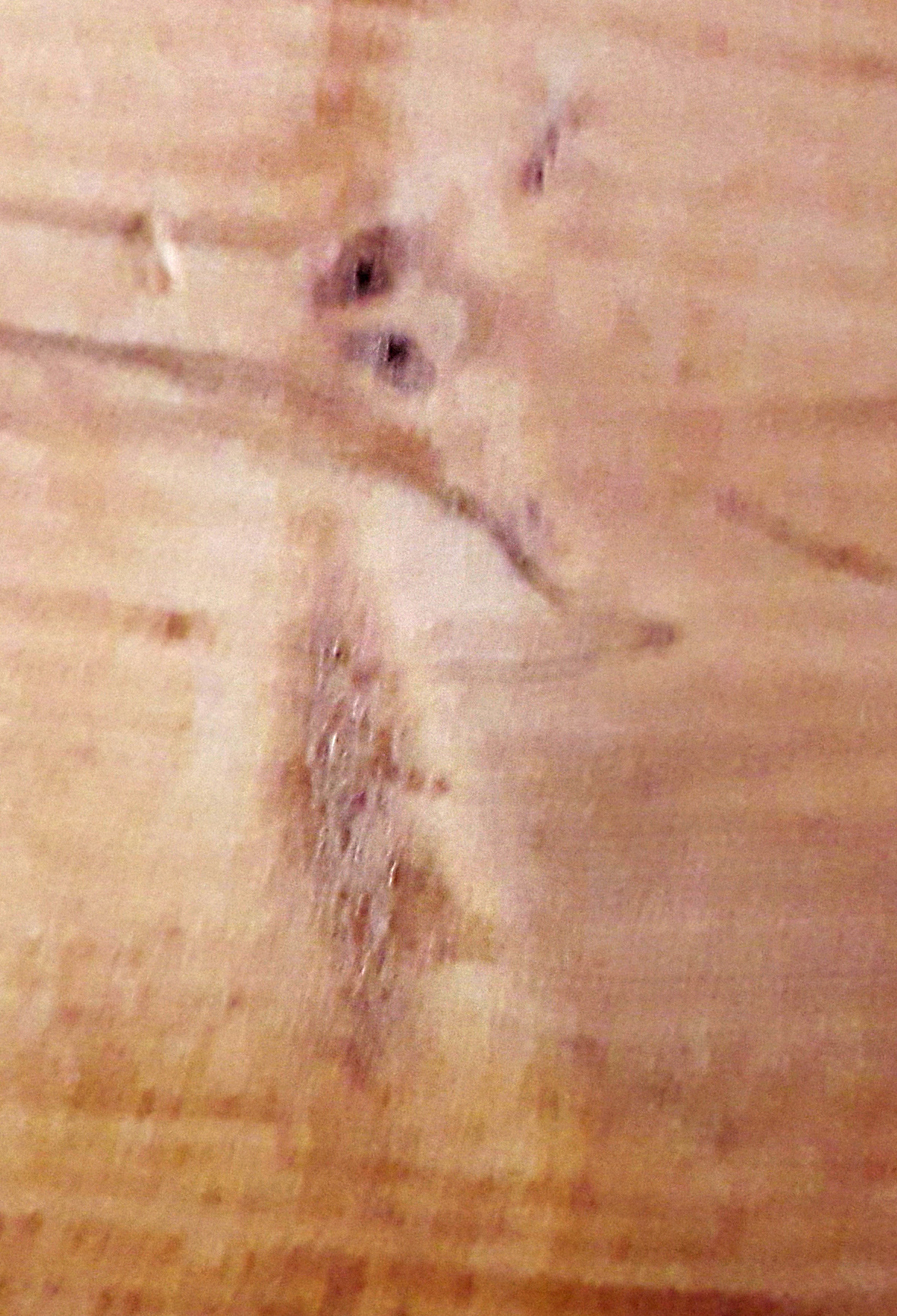 giraffe im holz