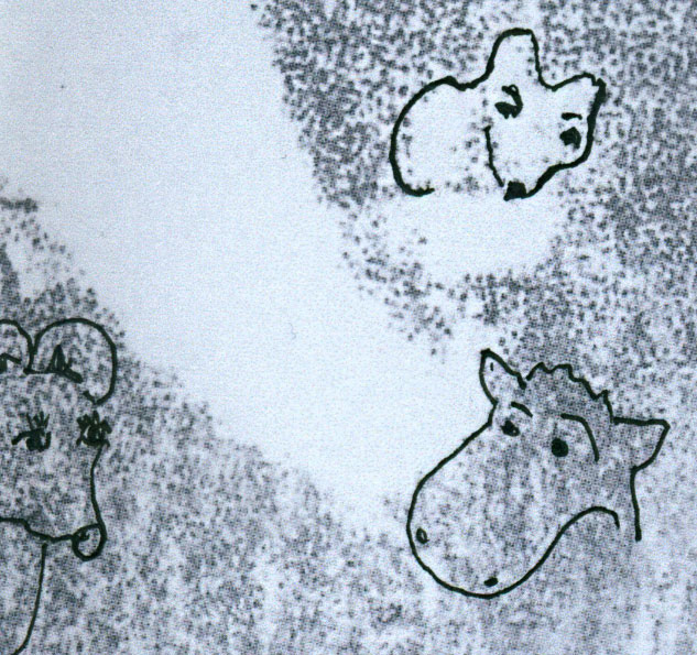 kleine terchen