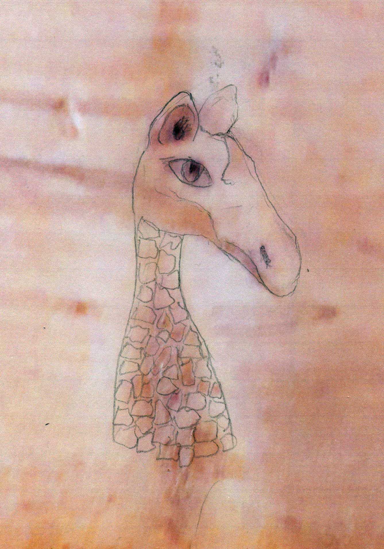giraffe im holz nachezeichnet