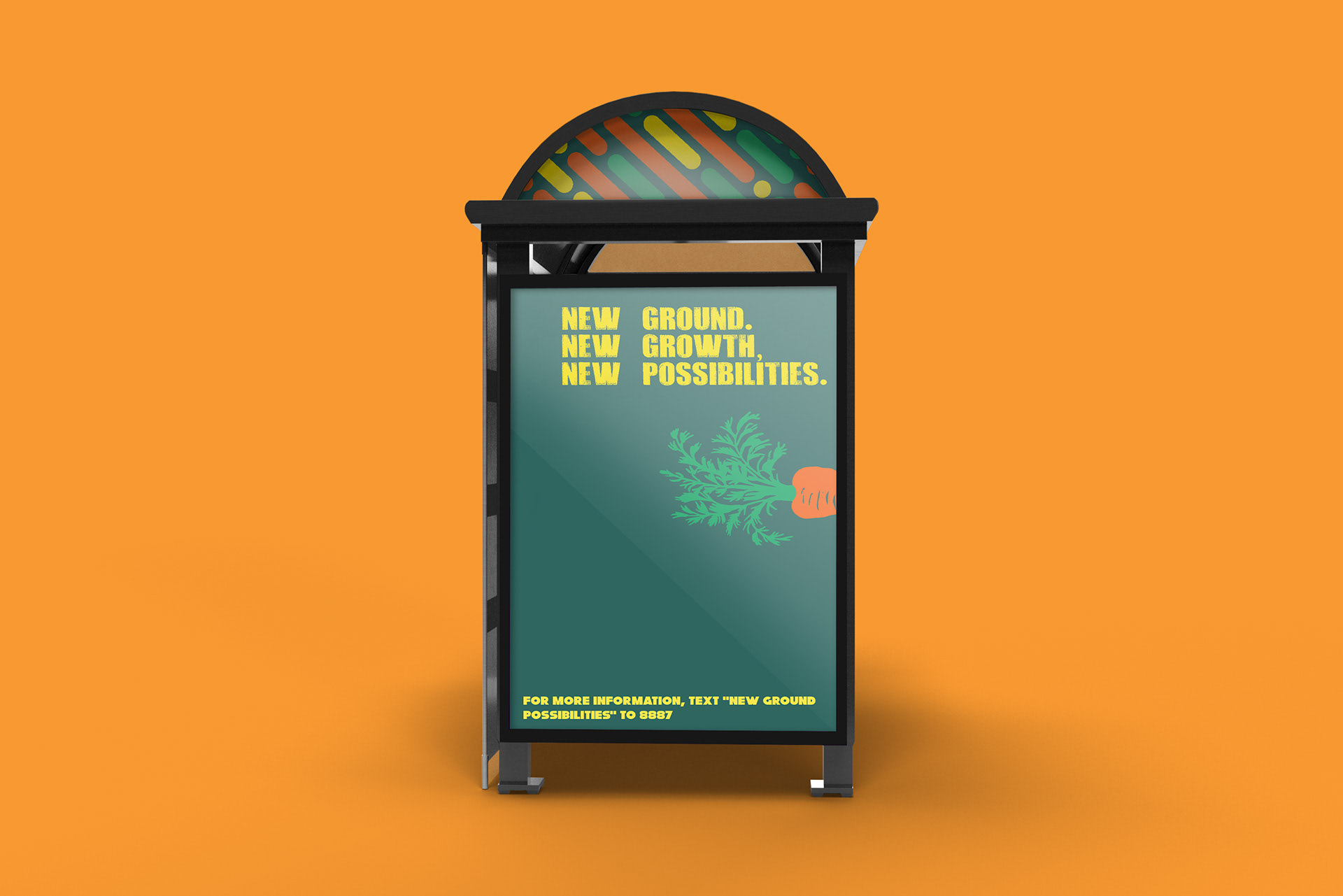 New Ground Bus Ad - Rhiannon Evans