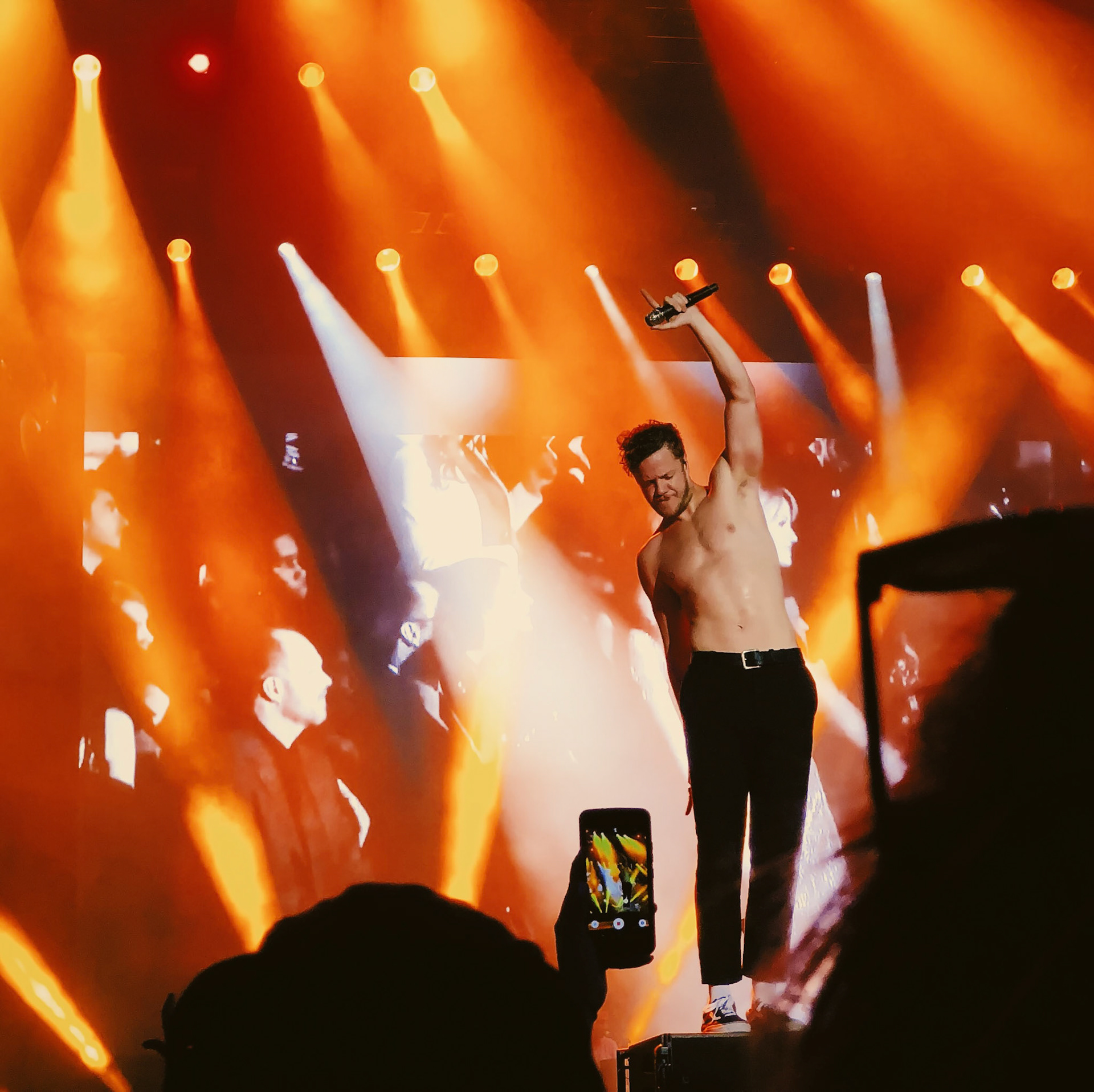 Photograph of Imagine Dragons lead singer holding microphone in the air