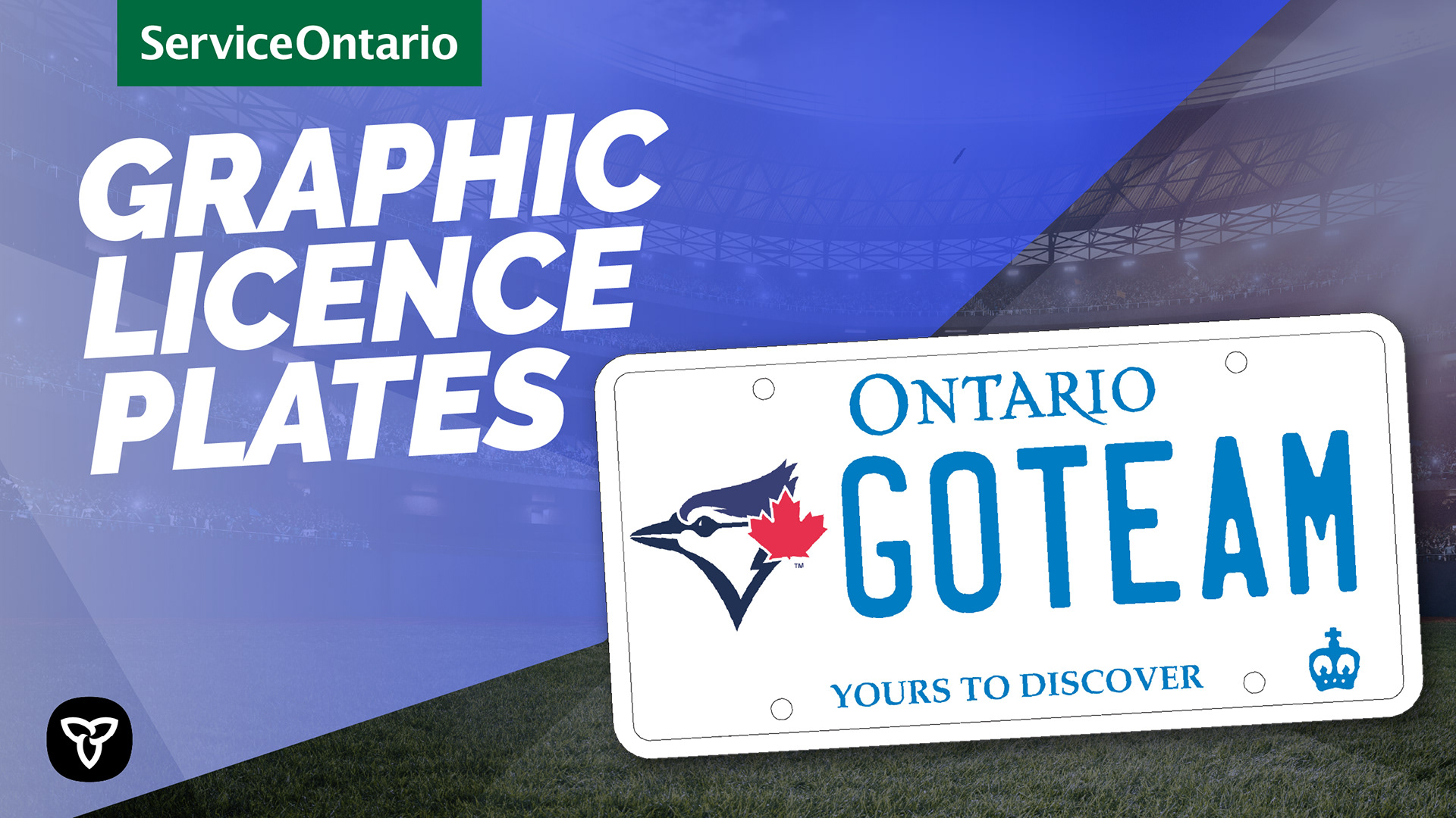 Social Ad - Blue Jays