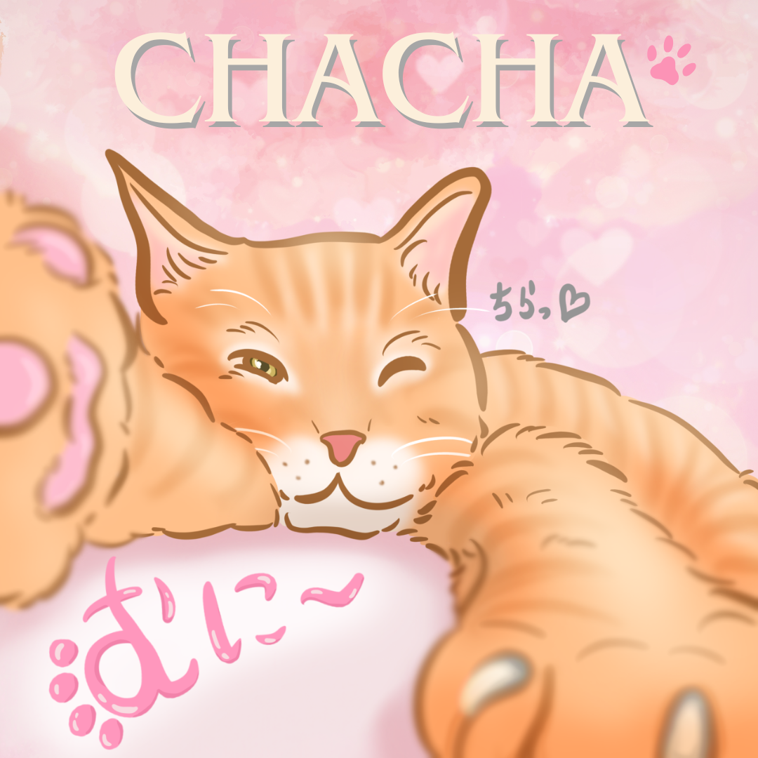 ちゃちゃちゃん