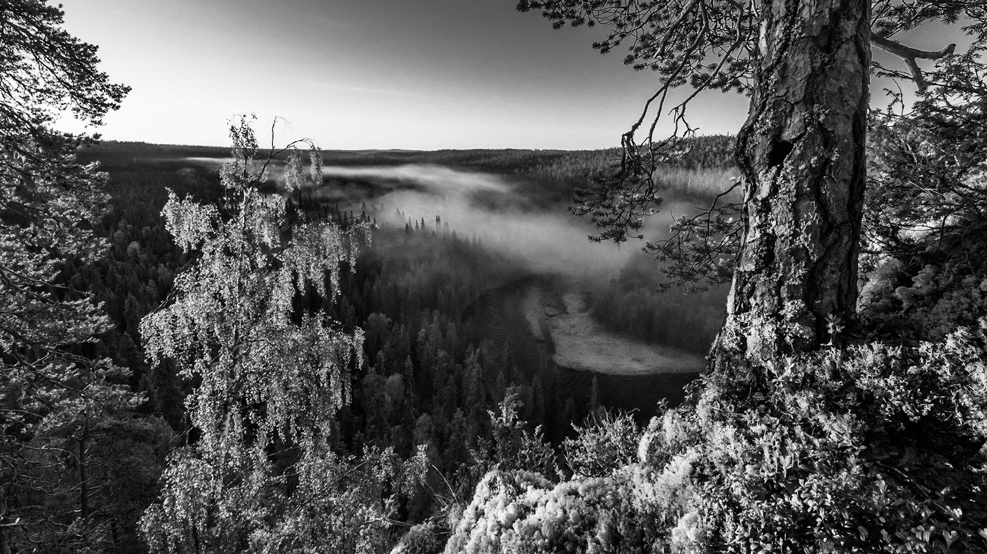 Suomen luontokuvausinstituutti - Portfolio