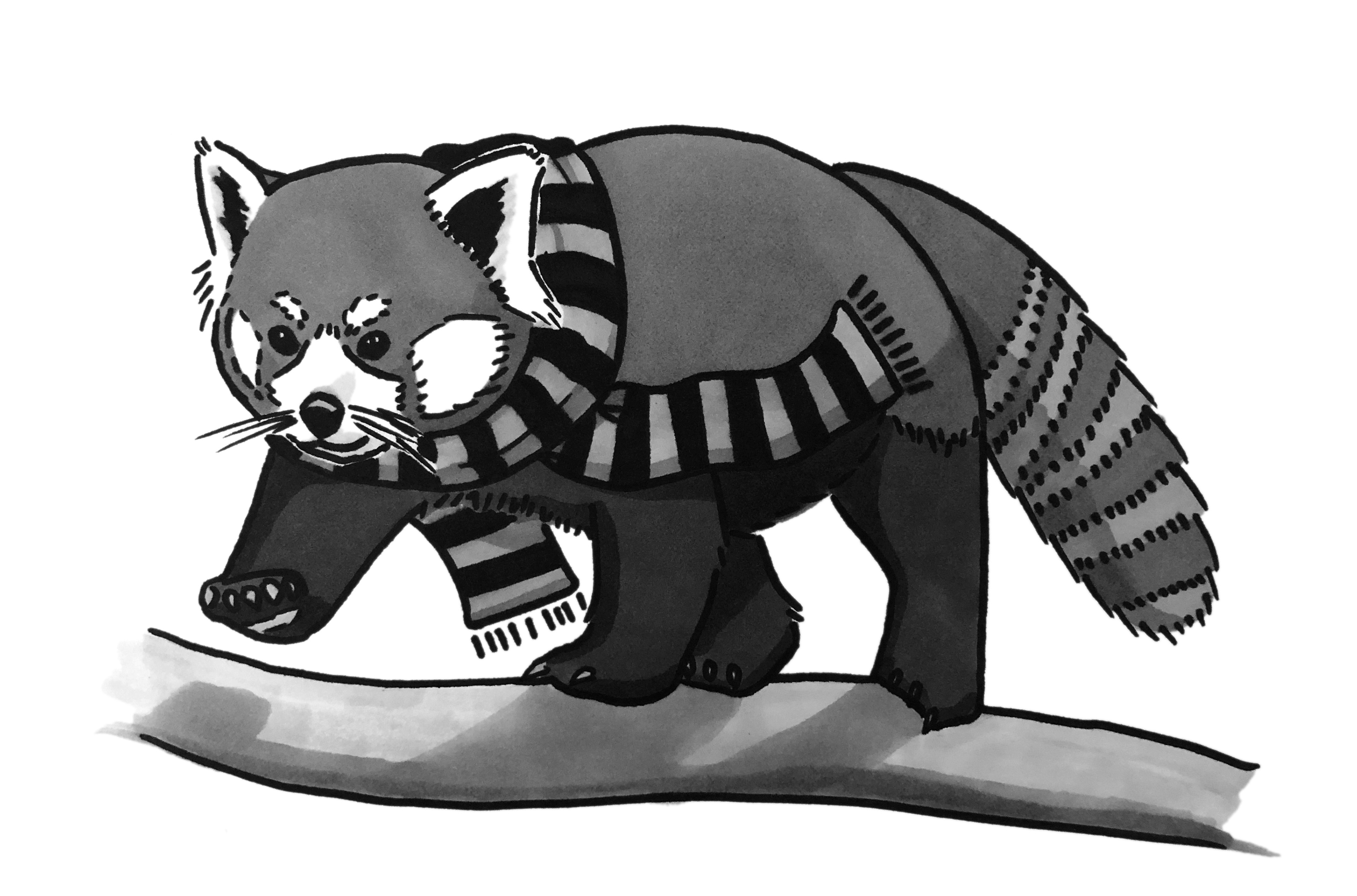 Day 10: Pattern