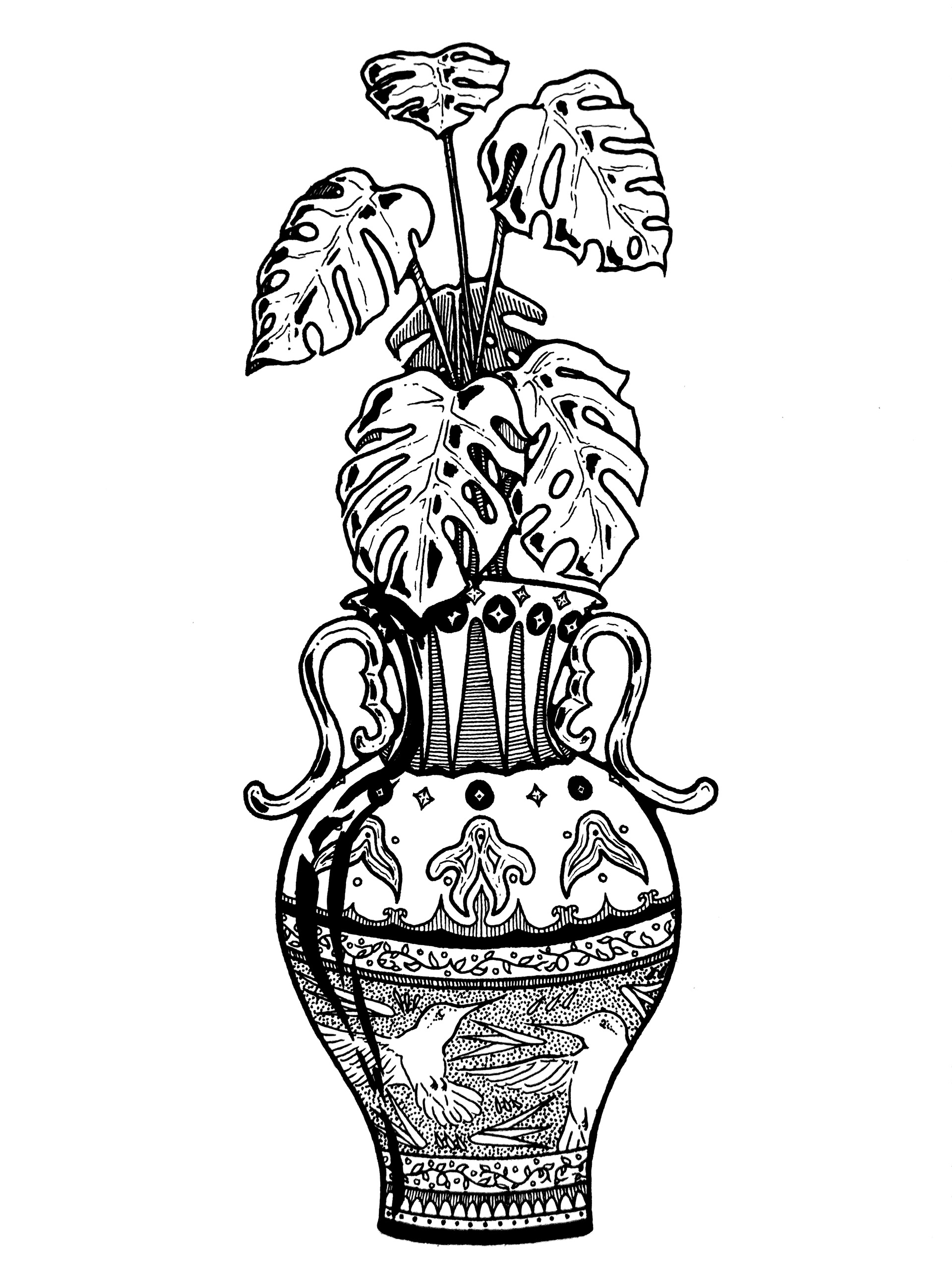 Monstera - April '25