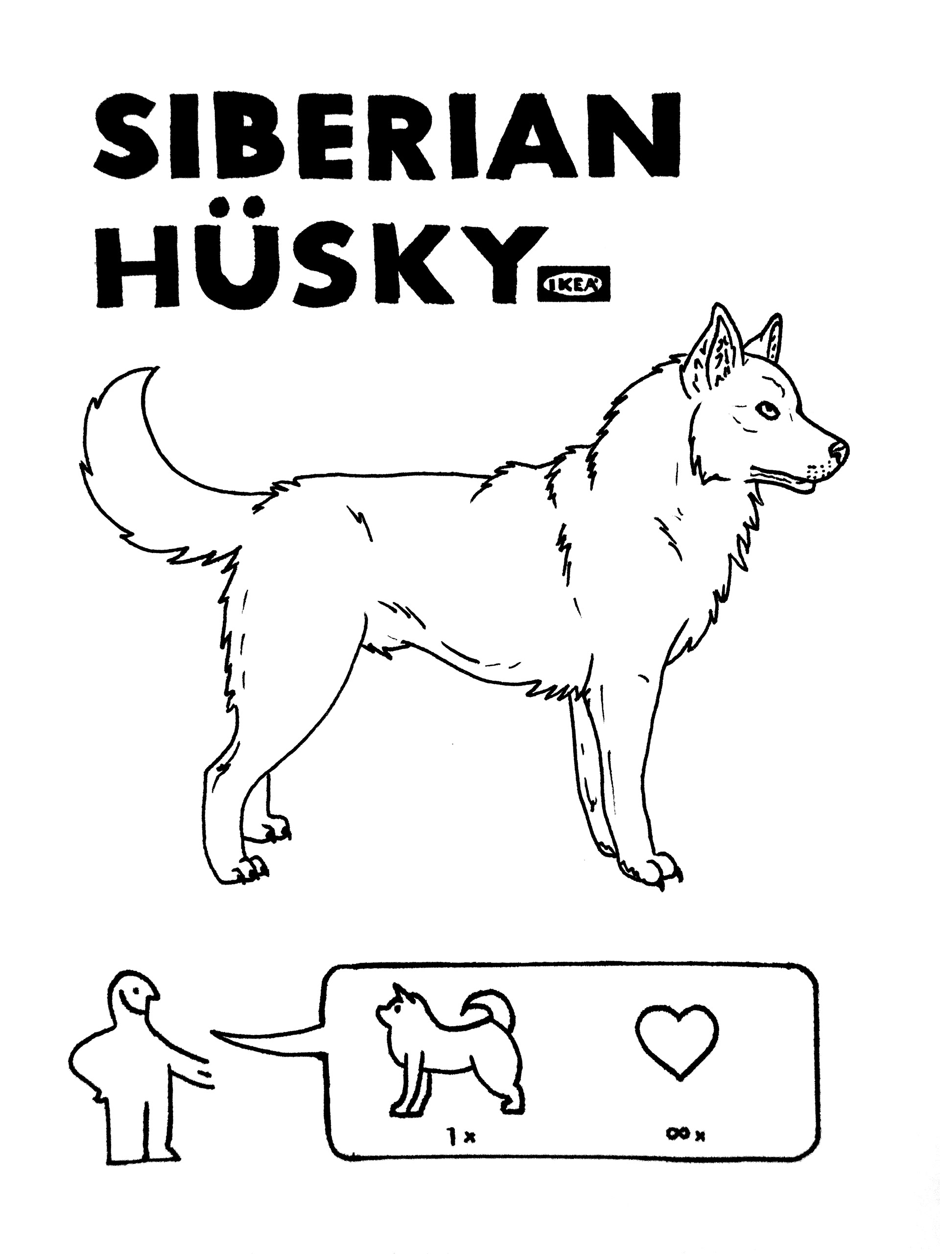 Days 5+6: Build+Husky