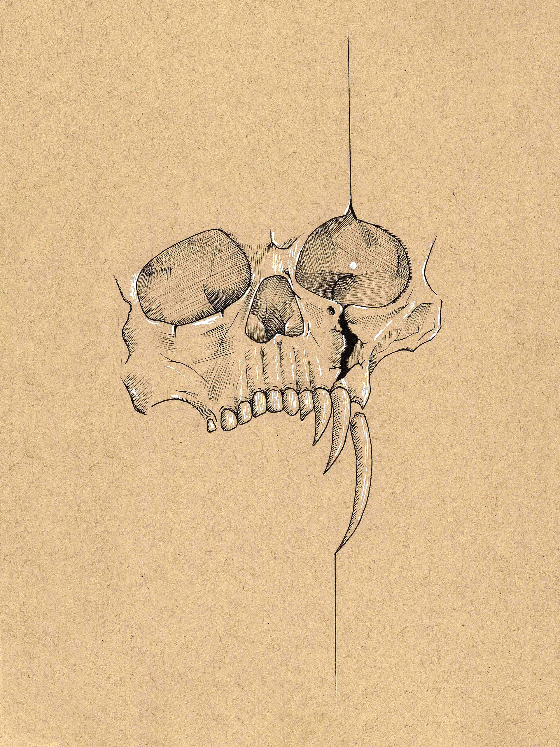 Day 8: Teeth