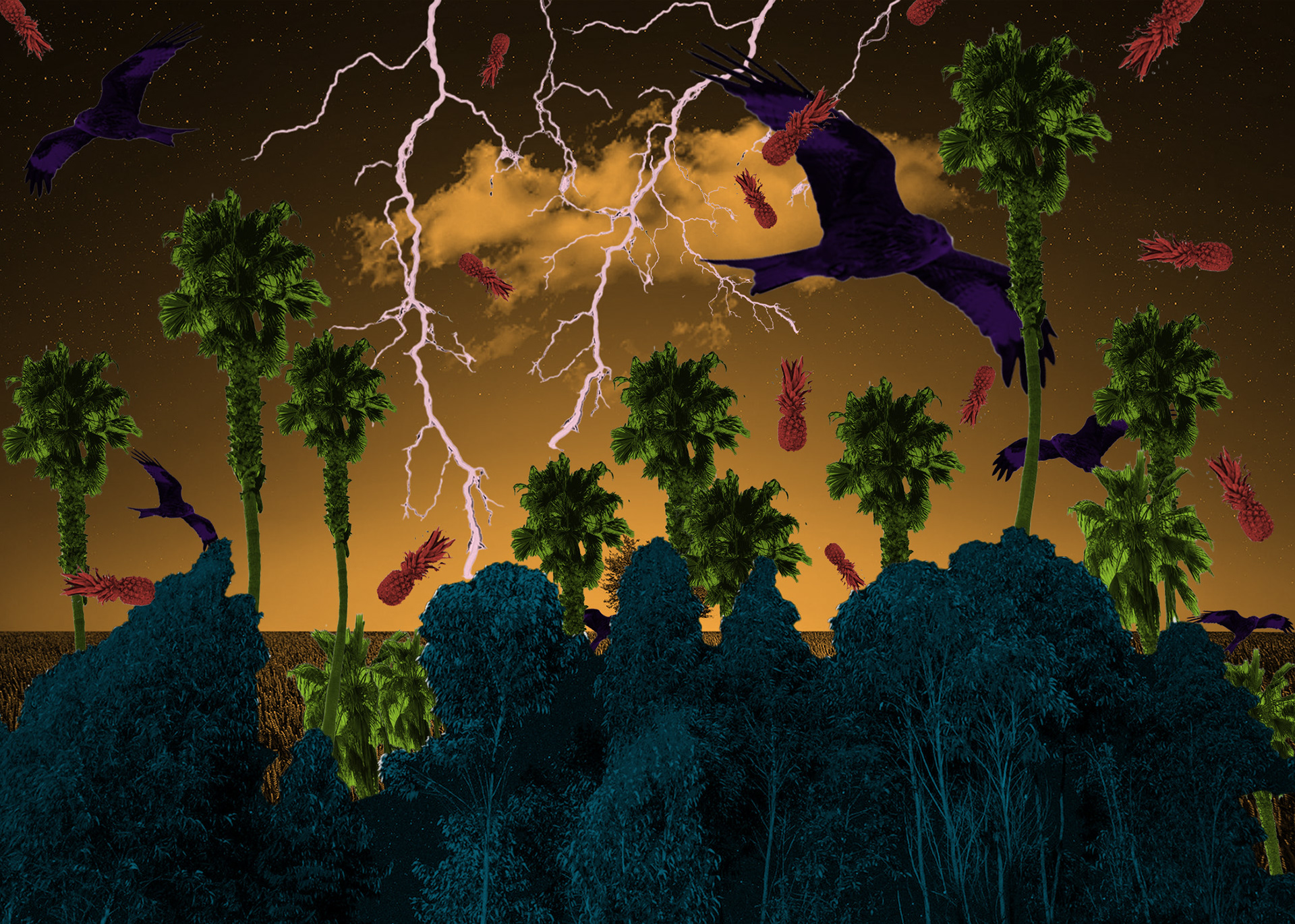 Intermediate Colors - Tropical Chaos