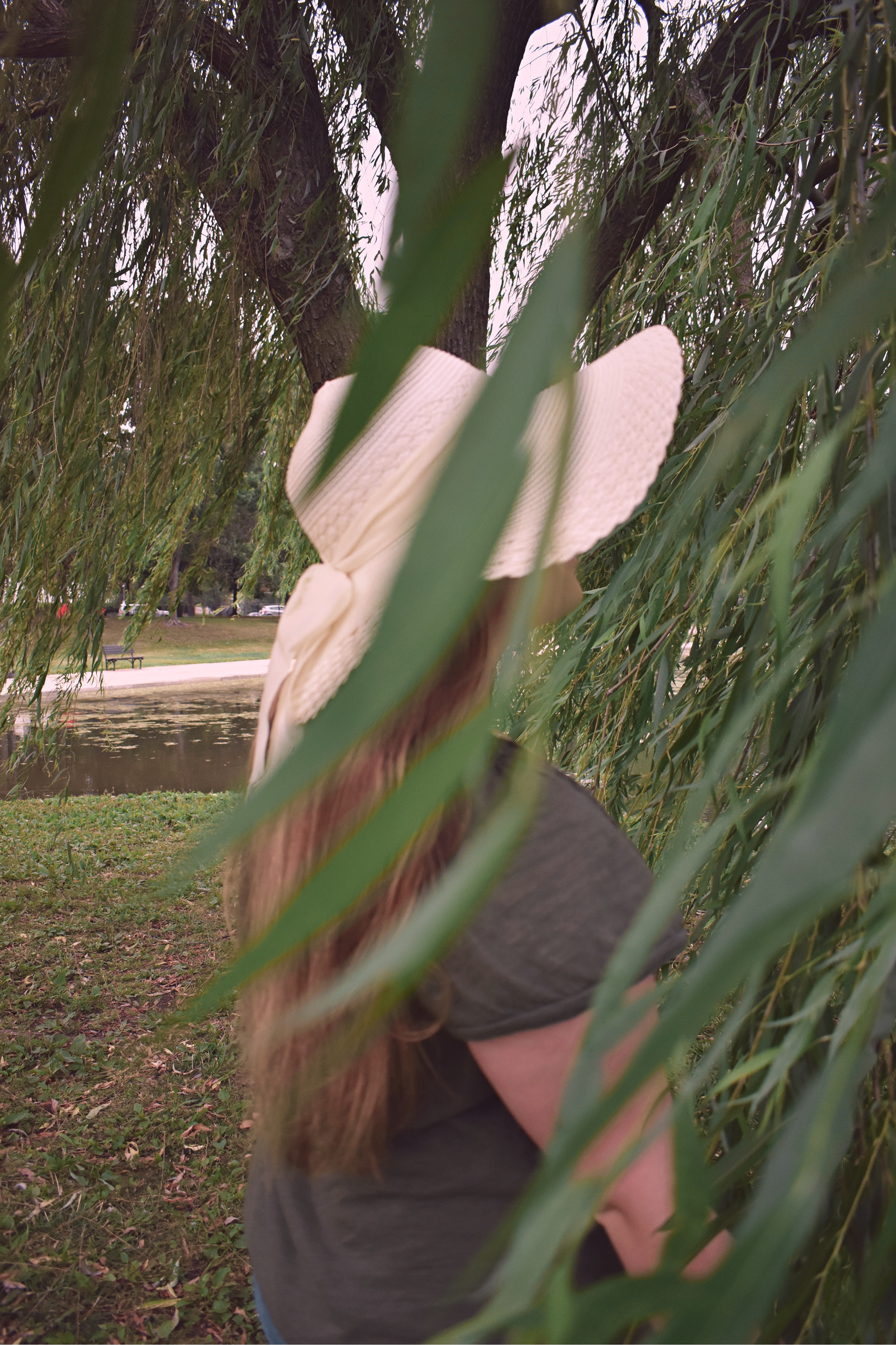 Lauren - Washington D.C.