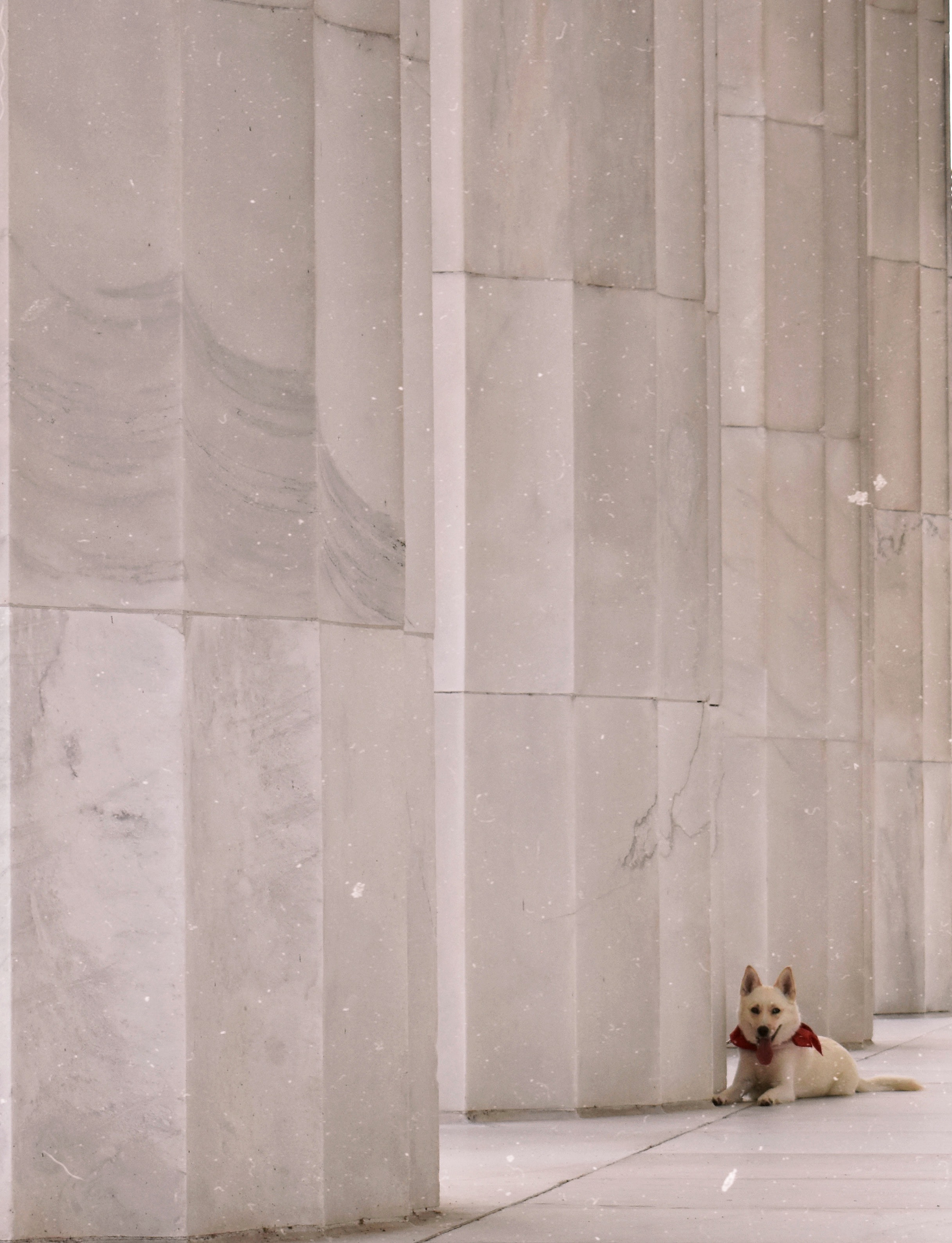 Dakota - Washington, DC.