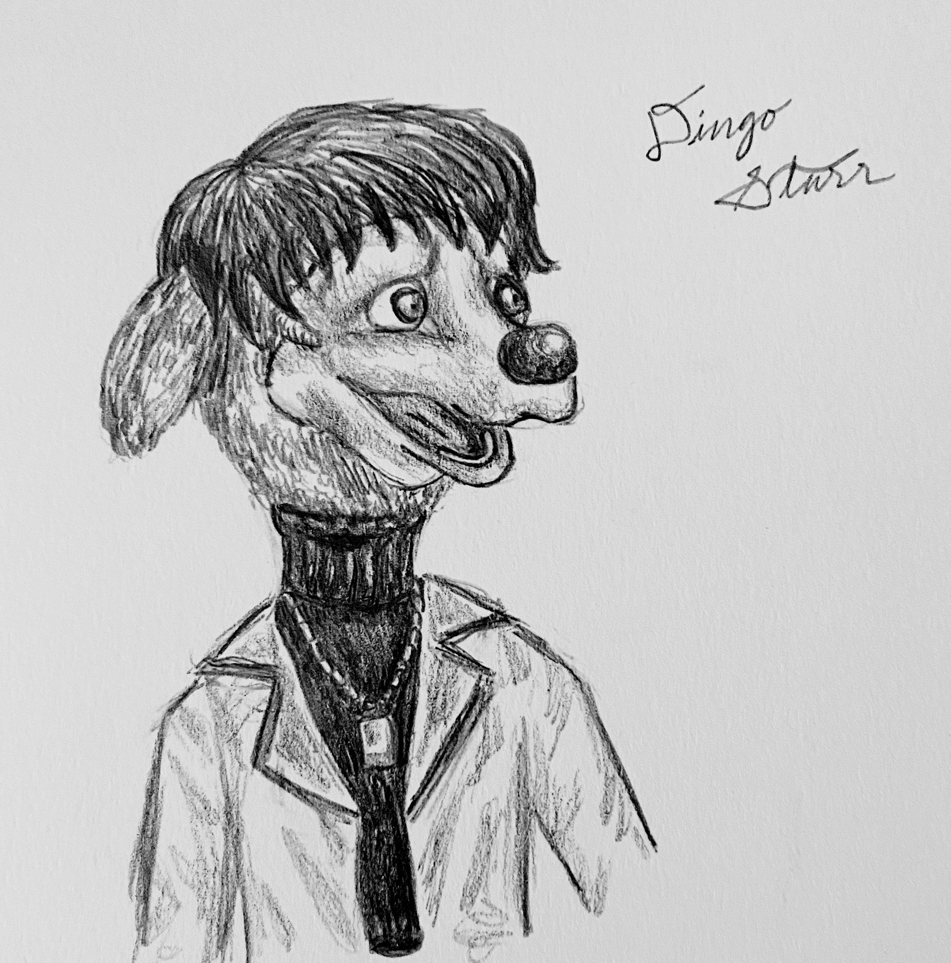 “Dingo Starr”