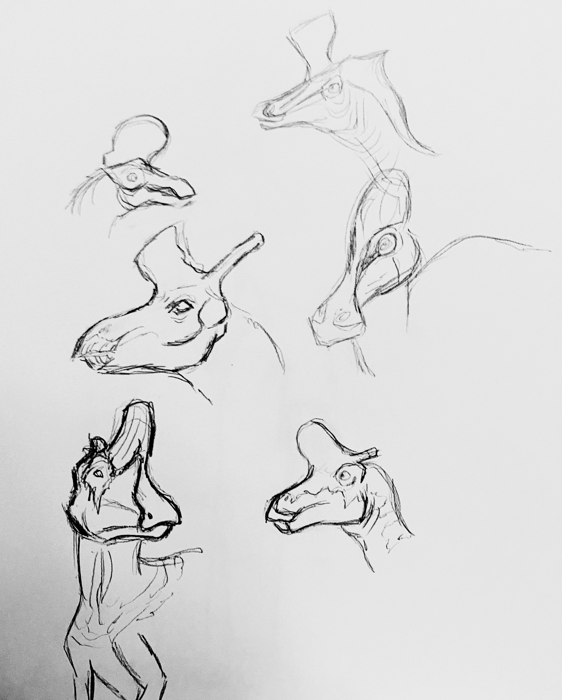 Species study
