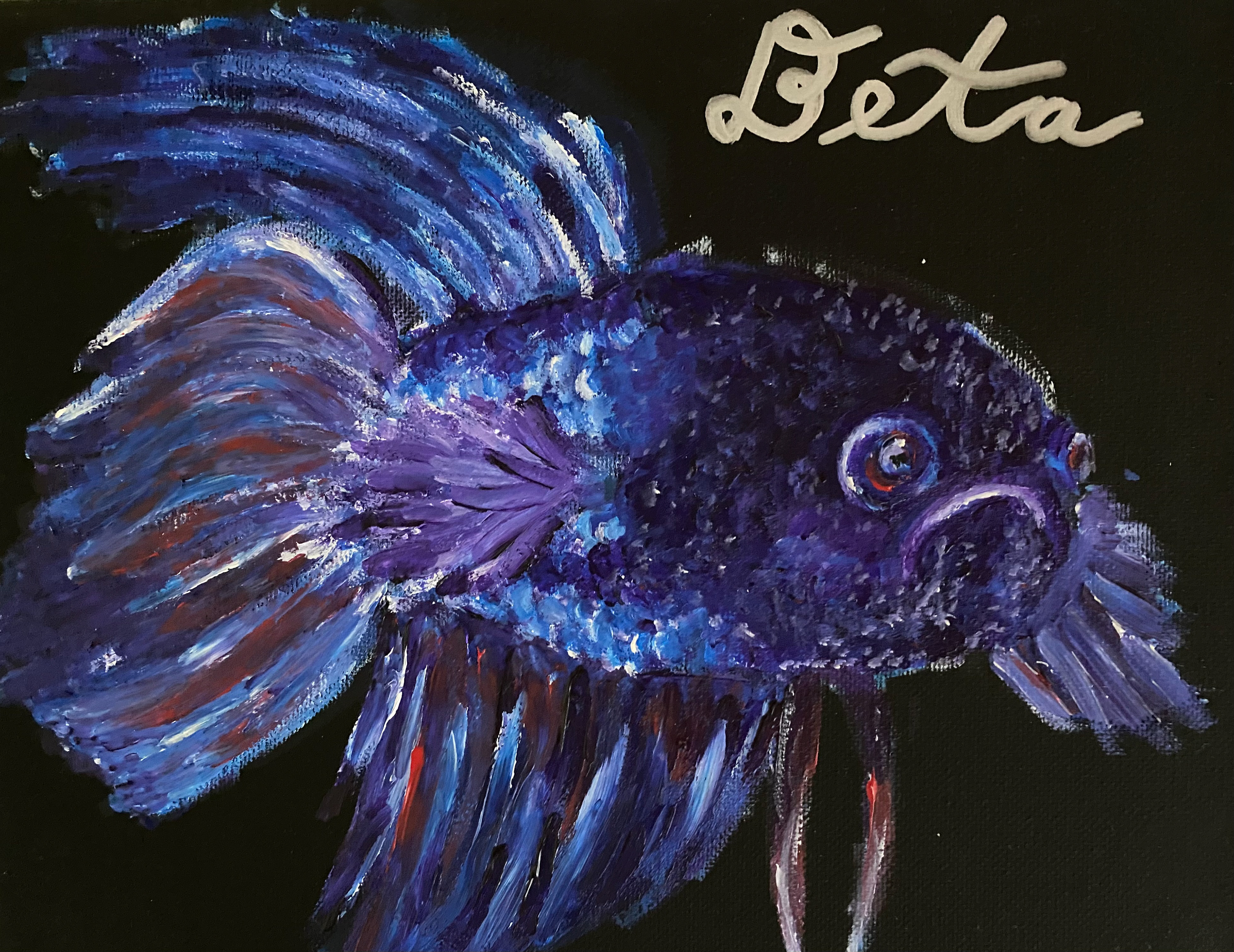 "Beta" my Betta Fish- 2022