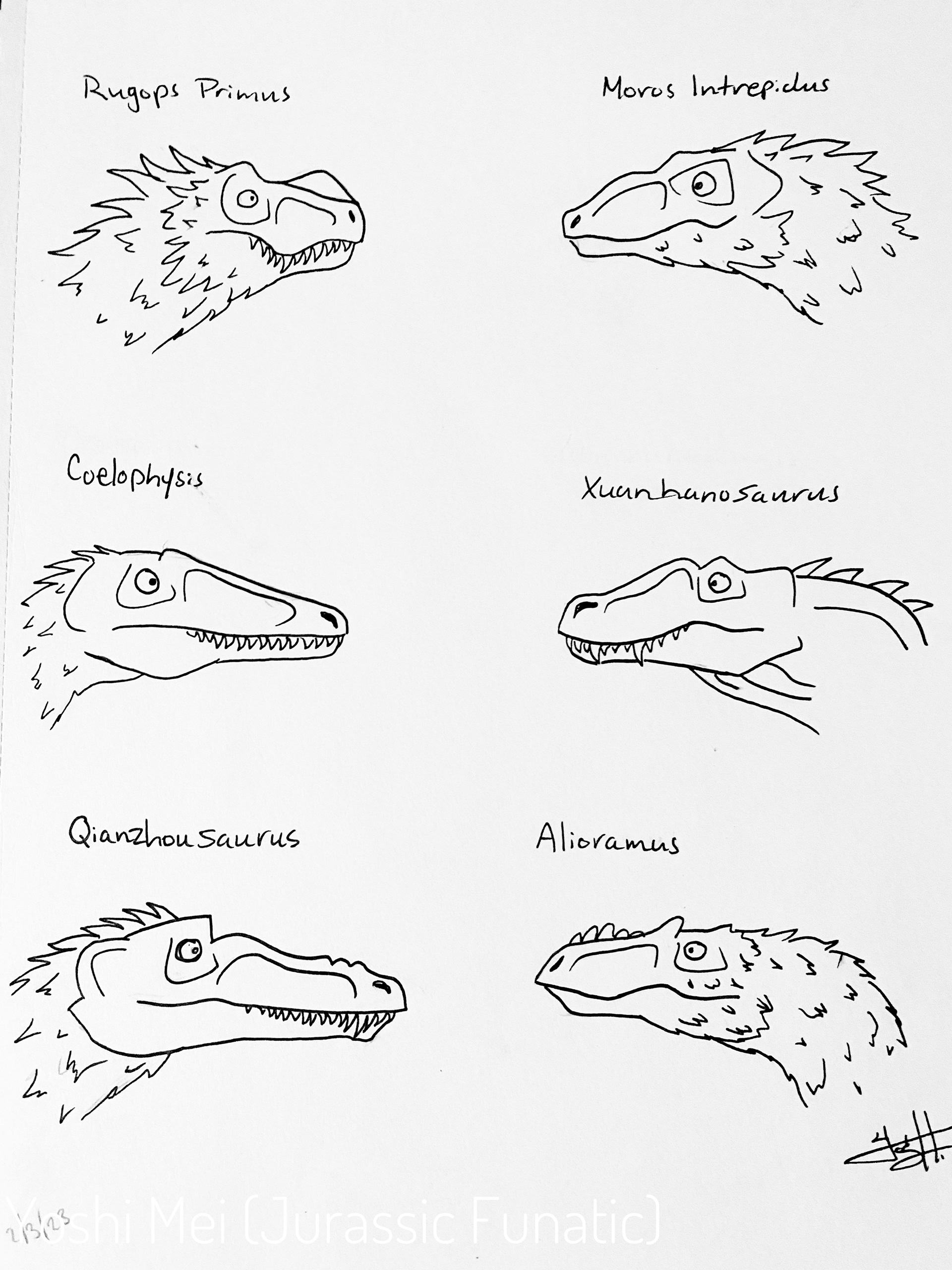 Cartoon Dinosaur Profiles