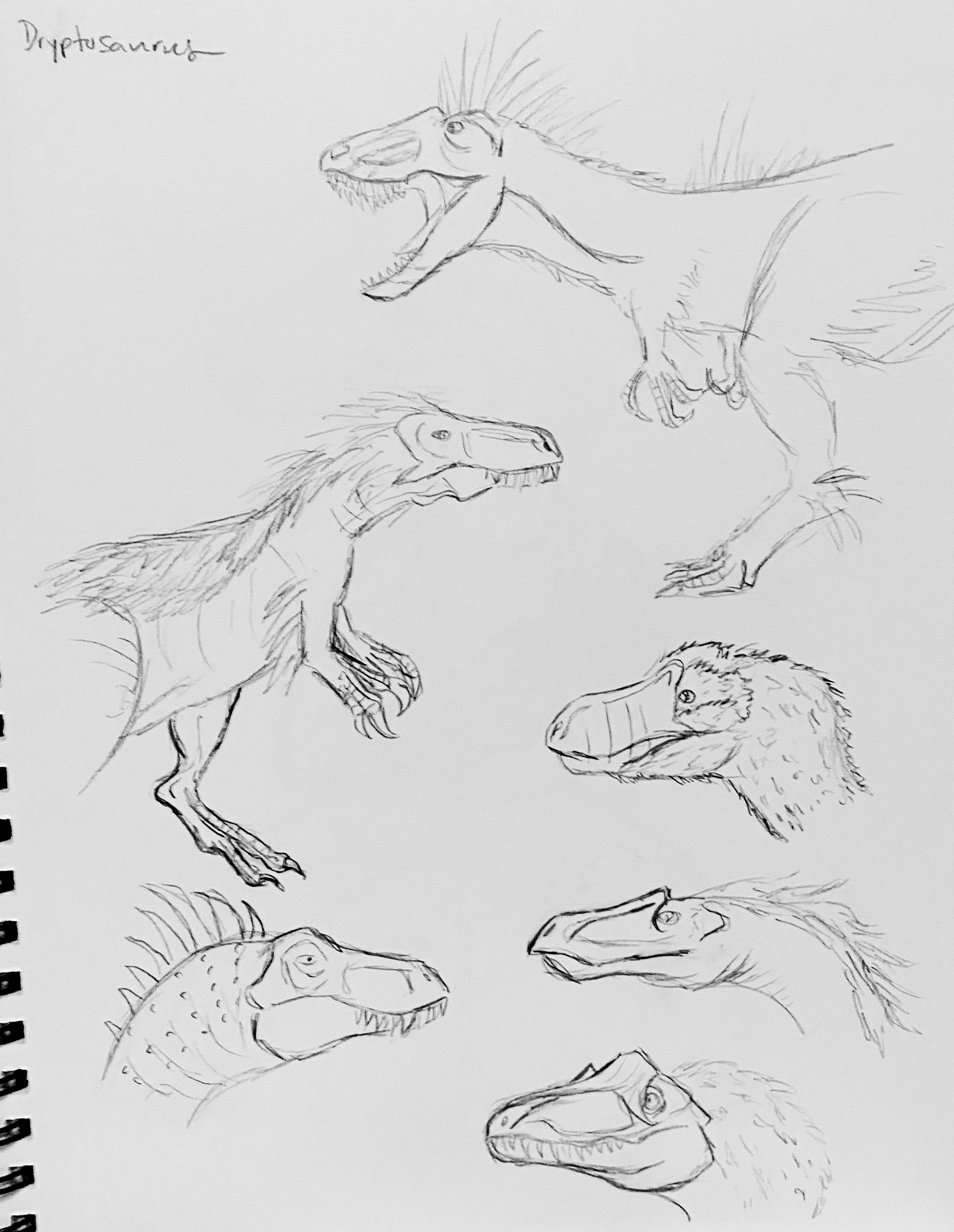 Species study