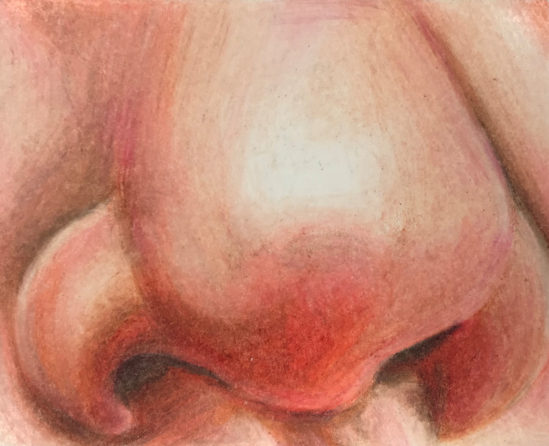 "No one draws noses"- 2019