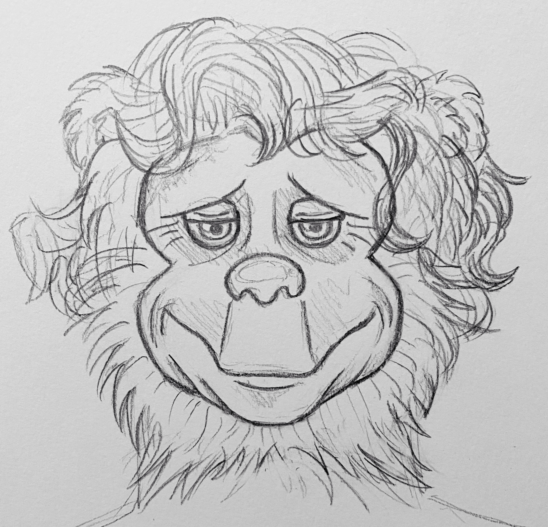 “Beach Bear's Face XD”