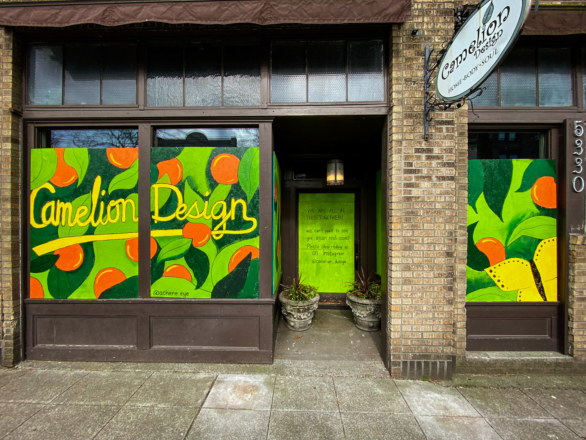 Camelion Design - Mural by @achene.eye