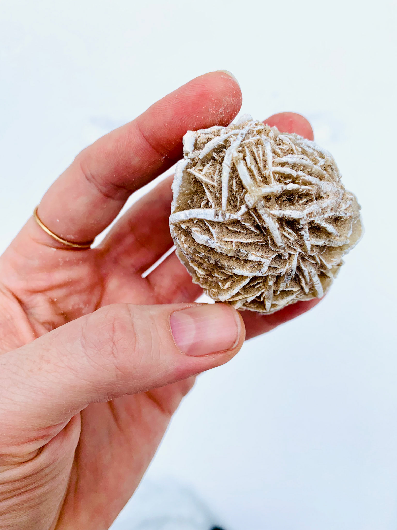 selenite desert rose