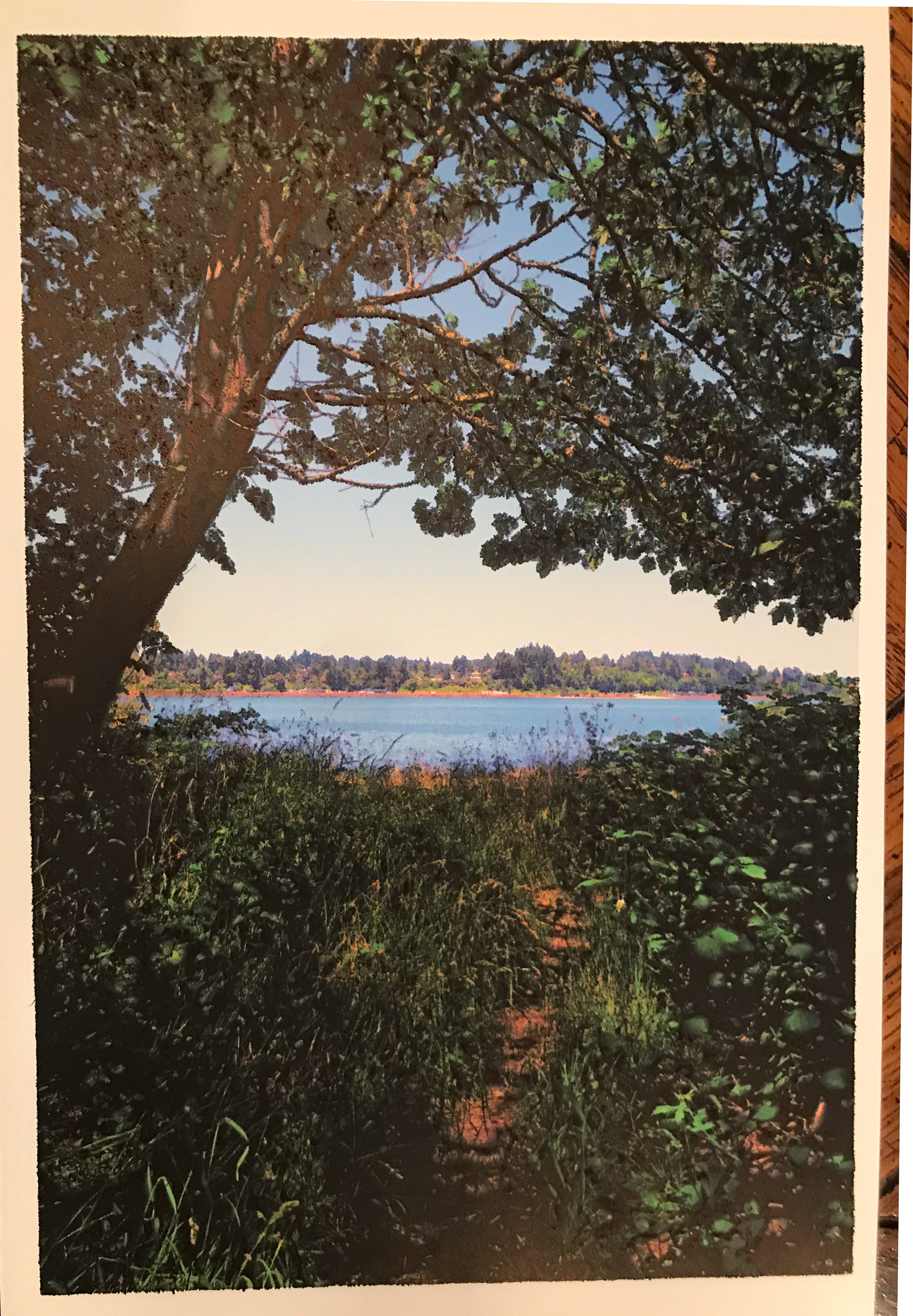 The Path to the Beach