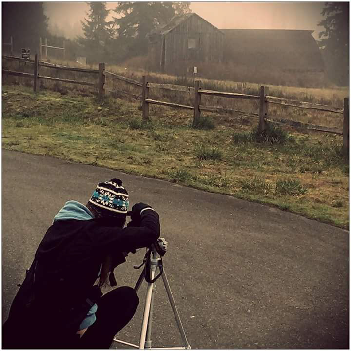 Love the Fog