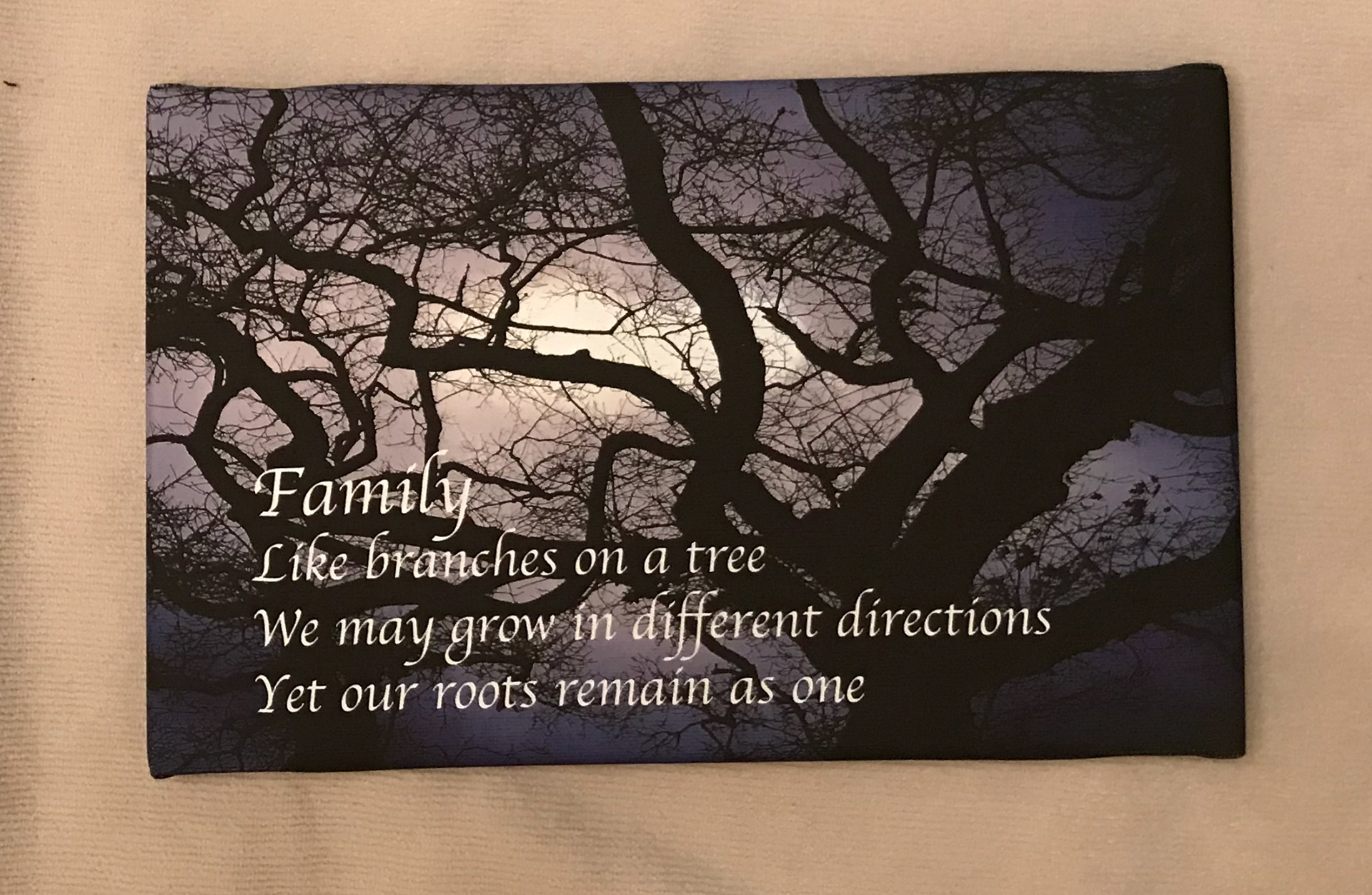 Reflecting Tree