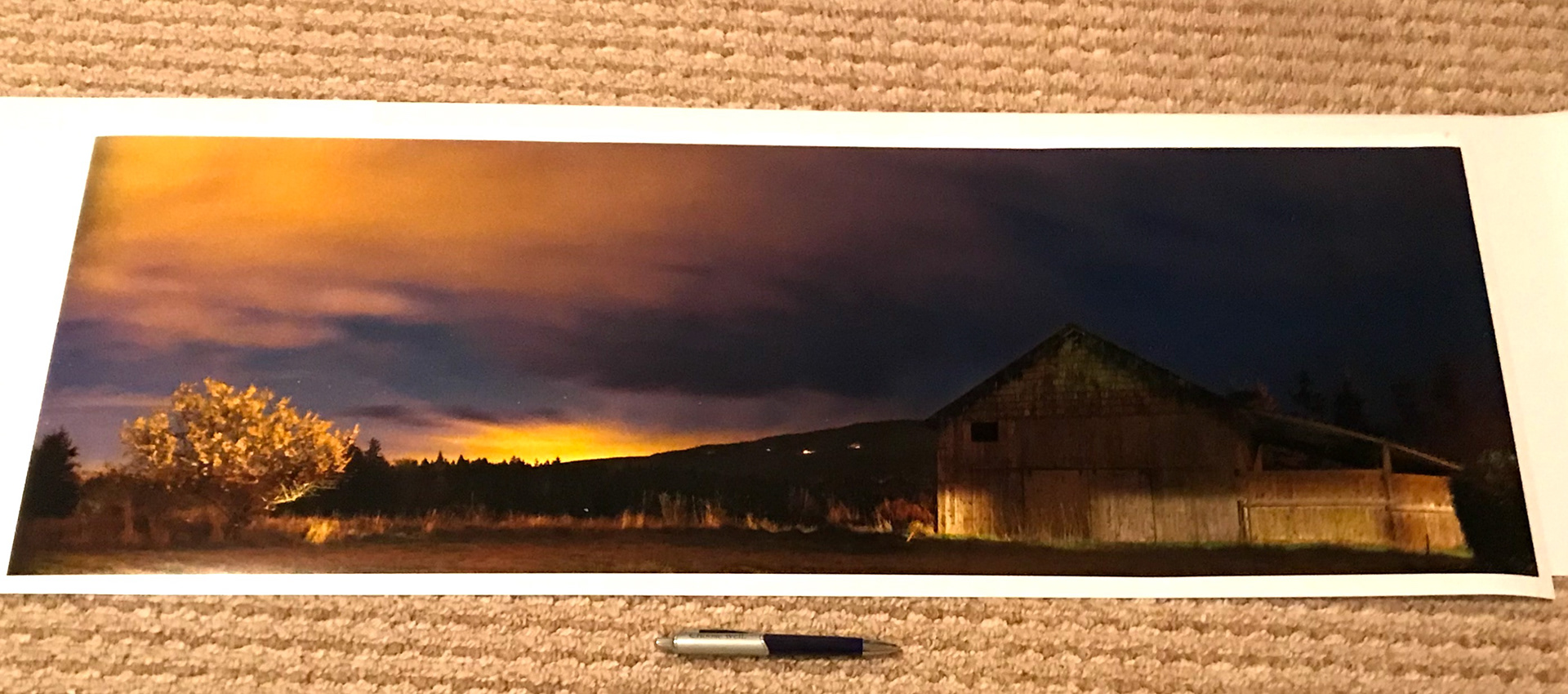 Large Print Morning Glory