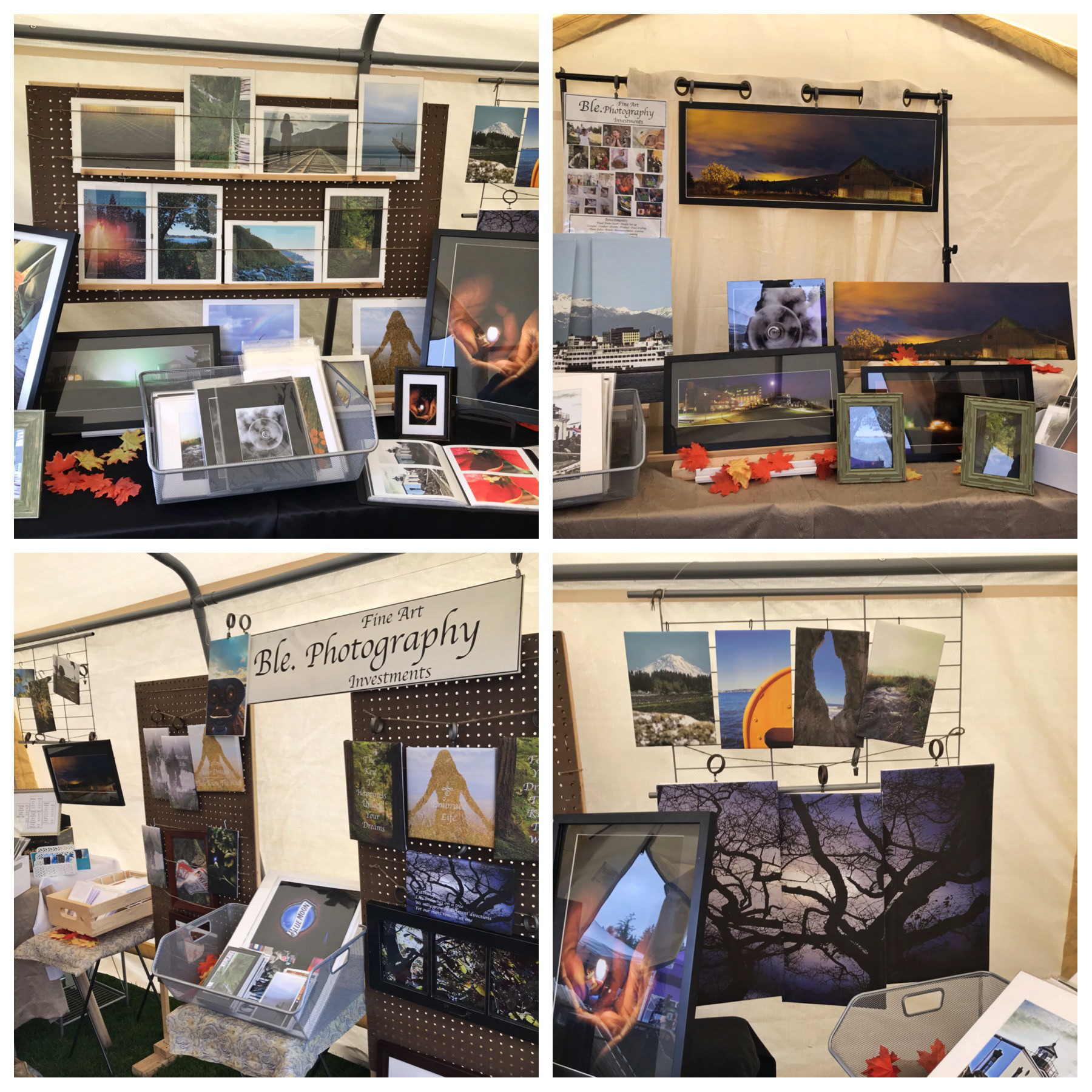 Cider Fest Gig Harbor