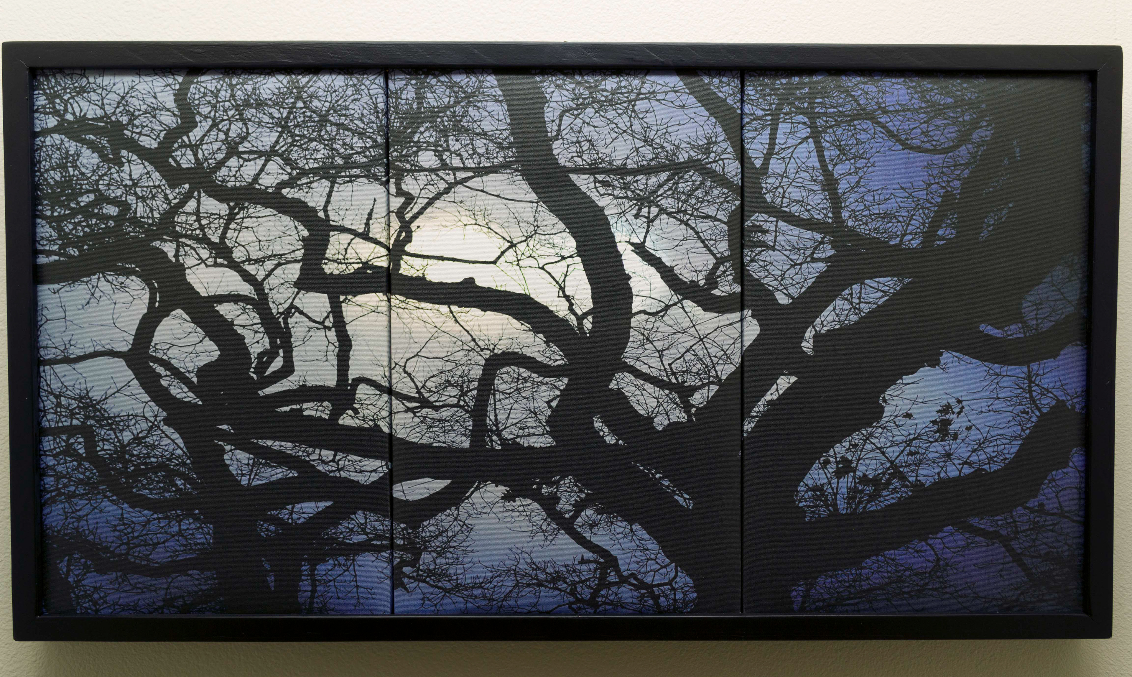 Reflecting Tree